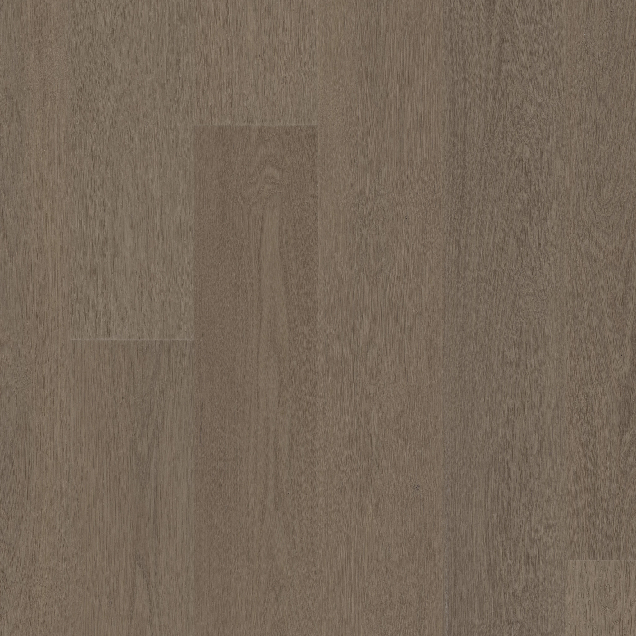 Provenance-Meditative Oak-235CT_03032