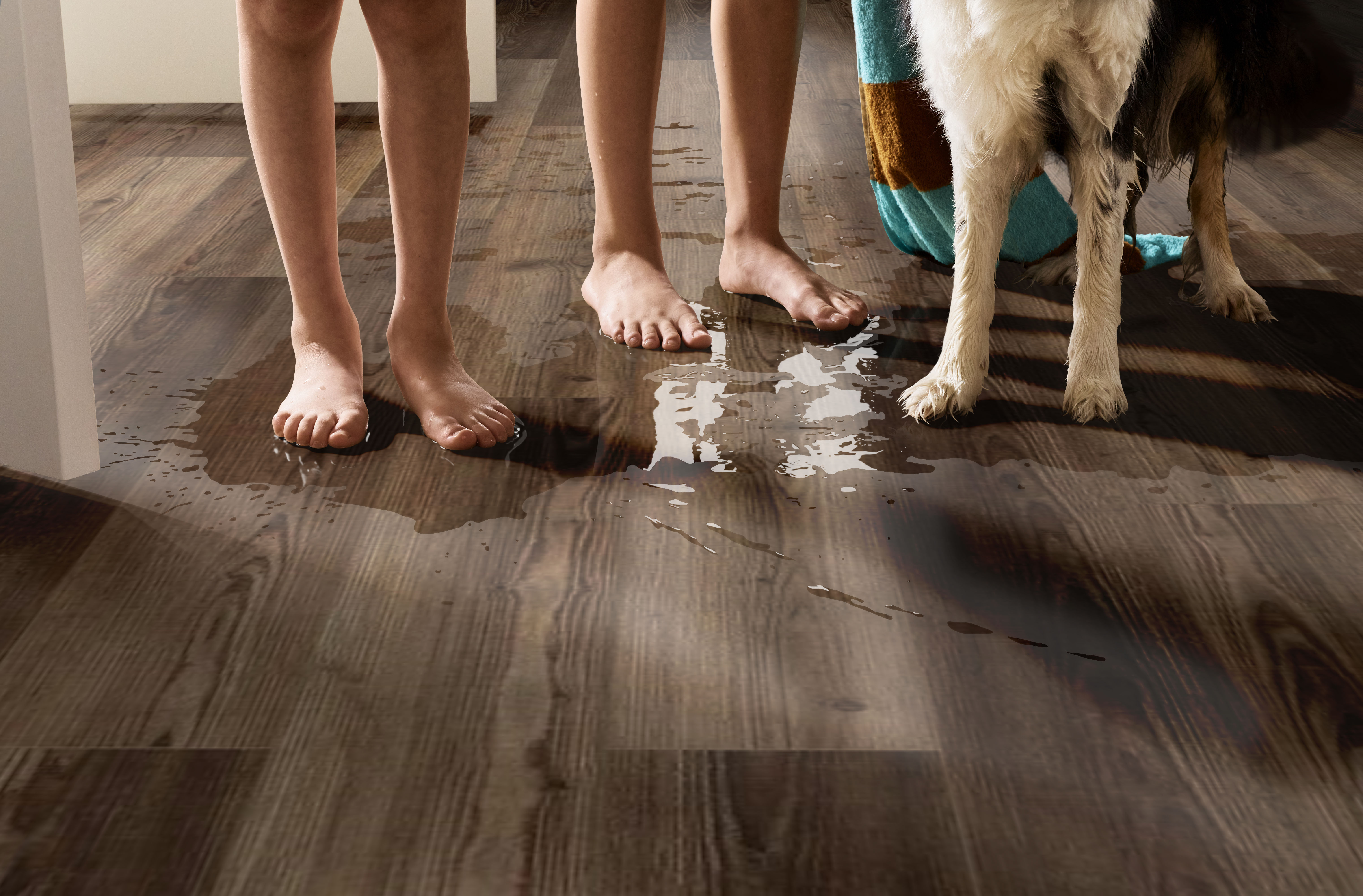 STARTING LINE WEATHERED BROWN ROOM