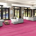 STRIE-3305V-BRIGHT-FUSHIA-00835-room-image