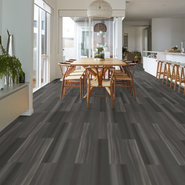 STRIE-3305V-IRON-00934-room-image
