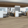 STRIE-3305V-BISQUE-01165-room-image