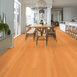 STRIE-3305V-VIVID-ORANGE-06038-room-image