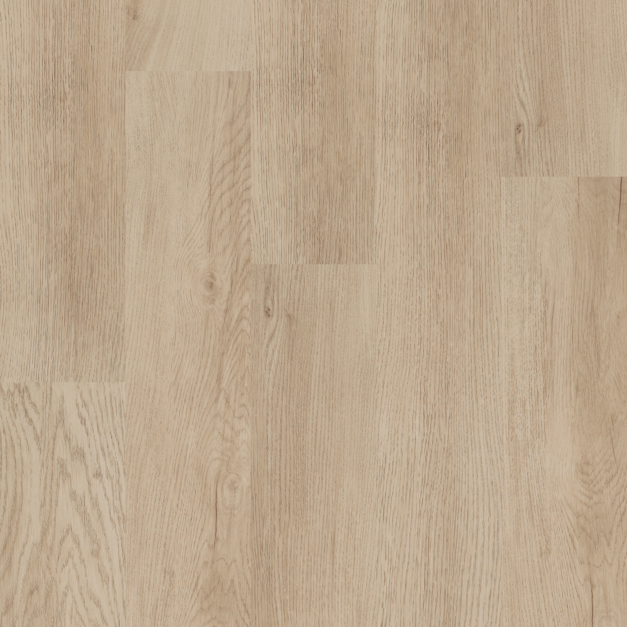 Limitless 20-Sand Dune-349MF_01169