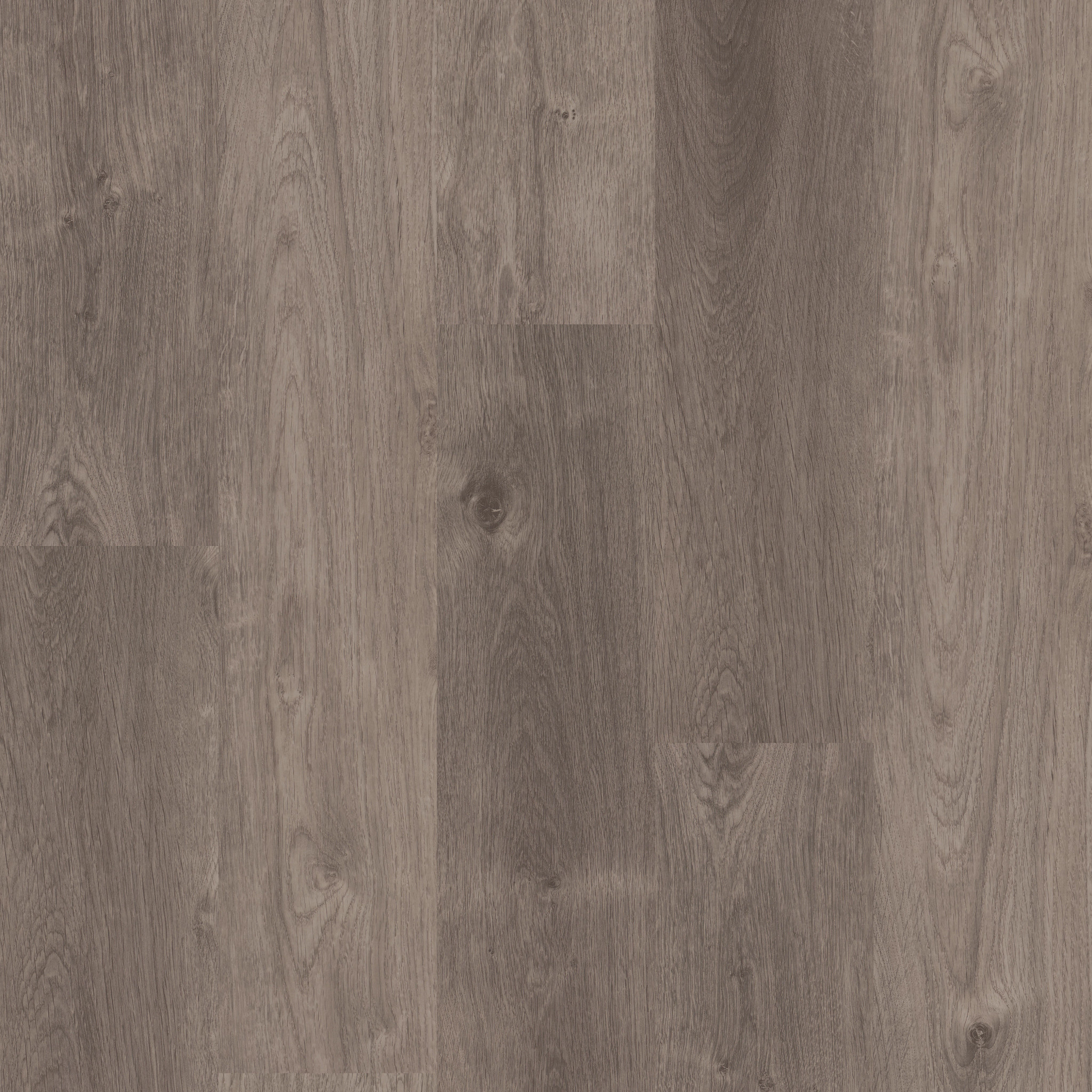 Lockhart Plank-Stormy Gray-350MF_00941