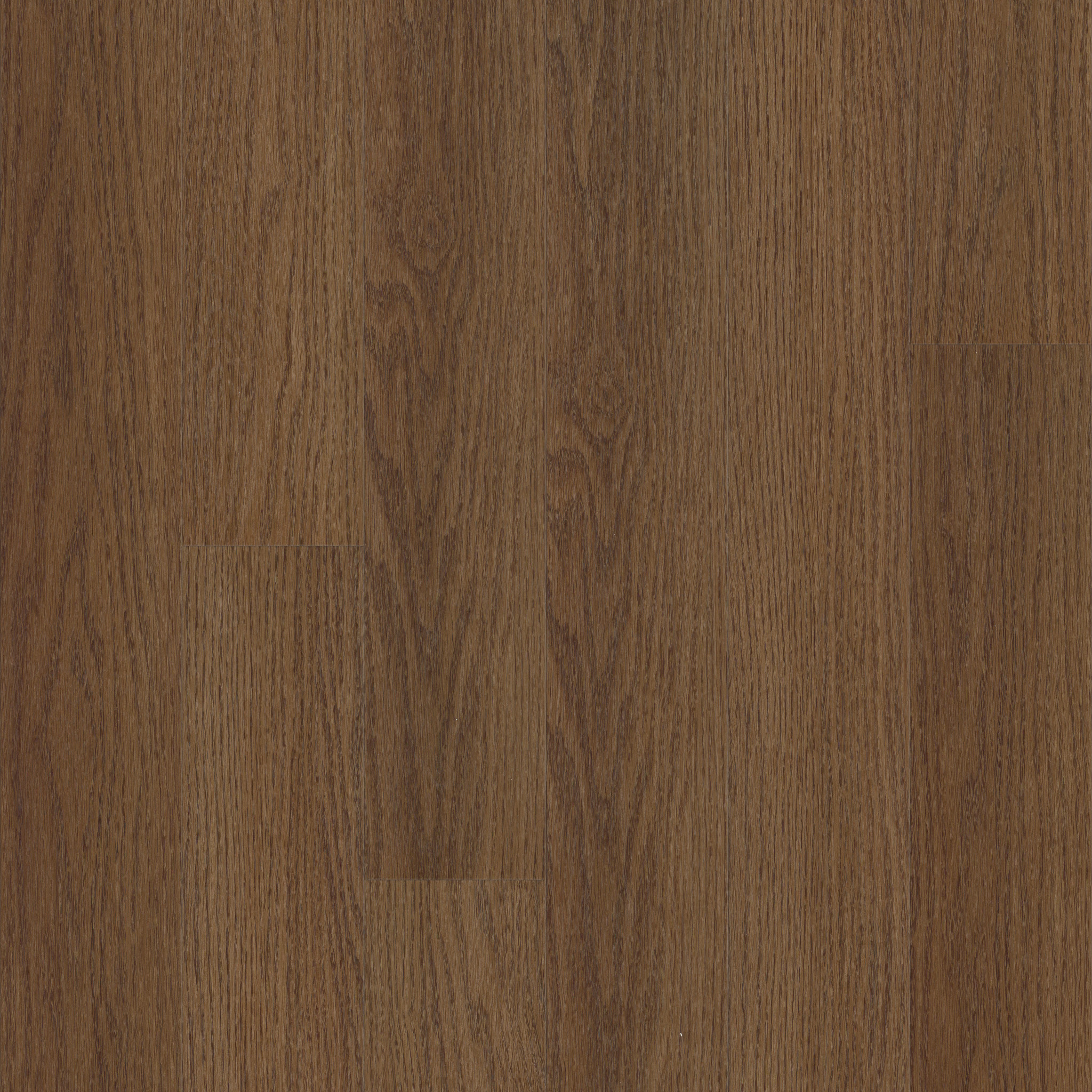 Traditions-Saddle Oak-3527V_07338