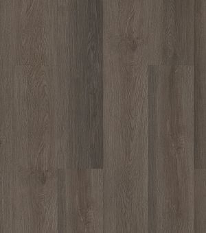 Product Details for ENDLESS COMFORT Anneal by Shaw Floors in Hilton Head  Island, SC