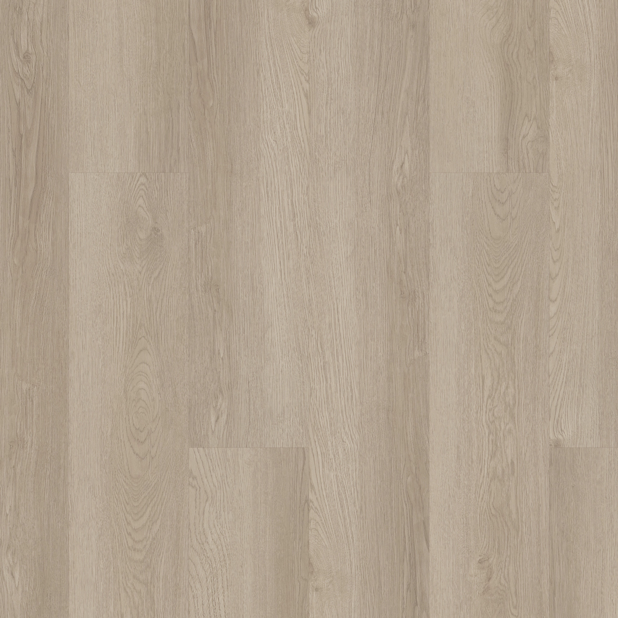 Limitless Spc-Pampas-366MF_02029