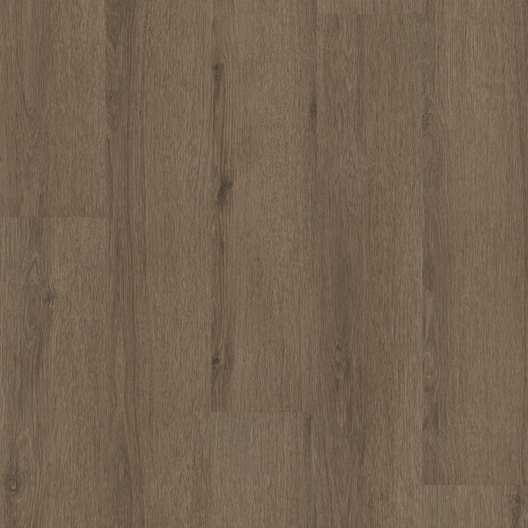 Limitless II 8-Autumn Brown-374MF_07314