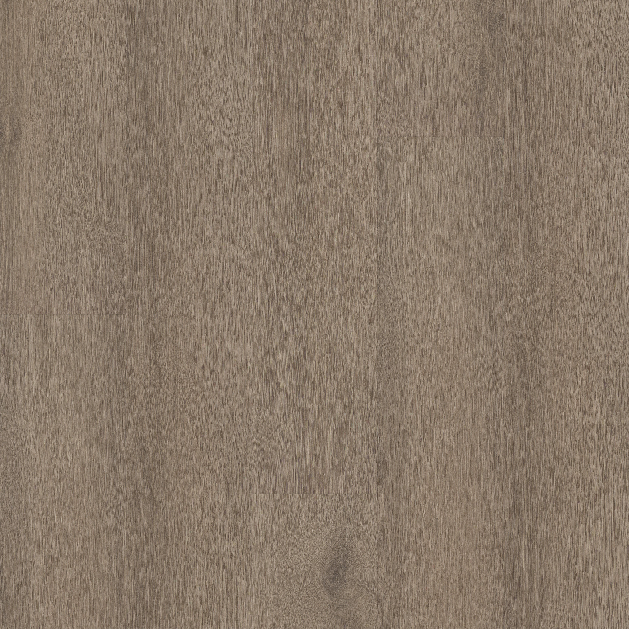 Limitless II 8-Smoky Taupe-374MF_07315