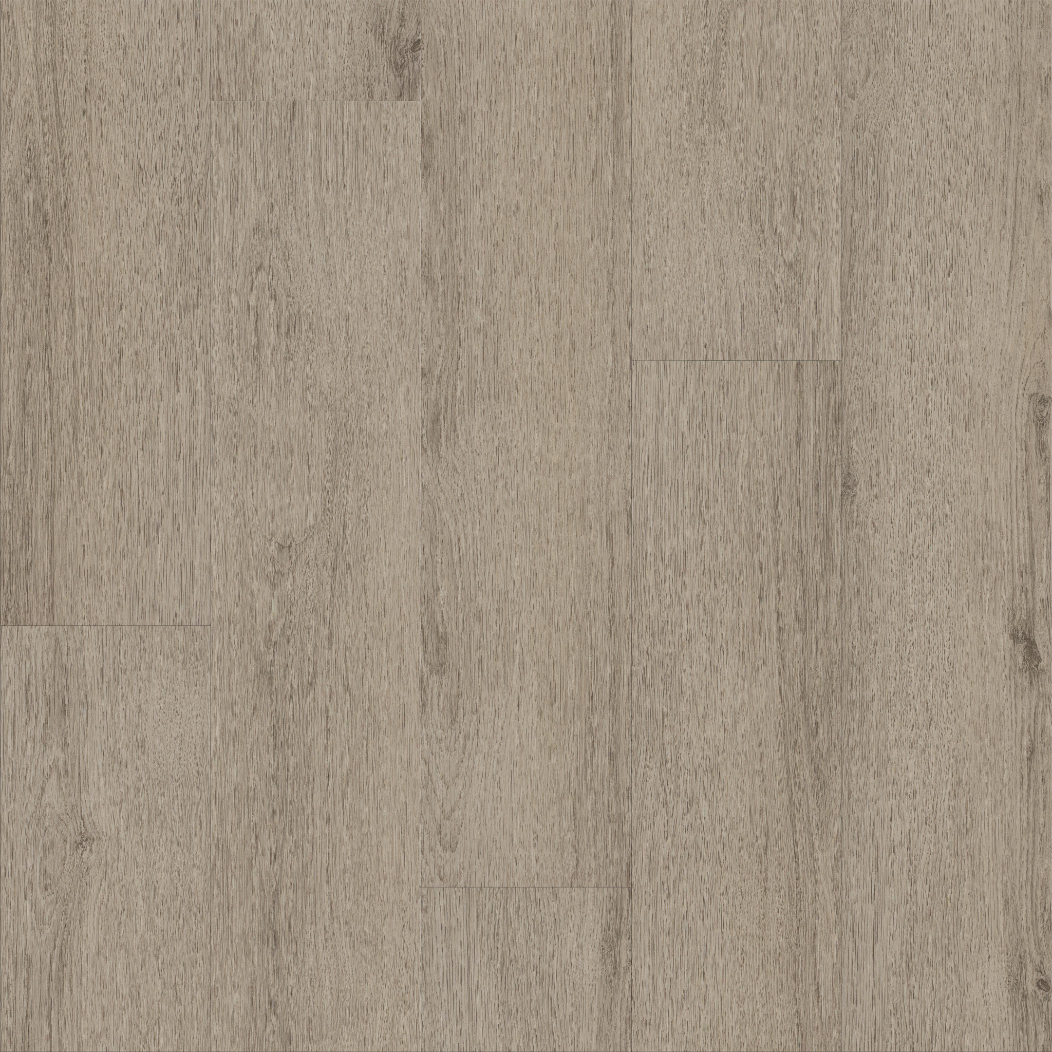 Limitless II 12-Mushroom Grey-375MF_05223