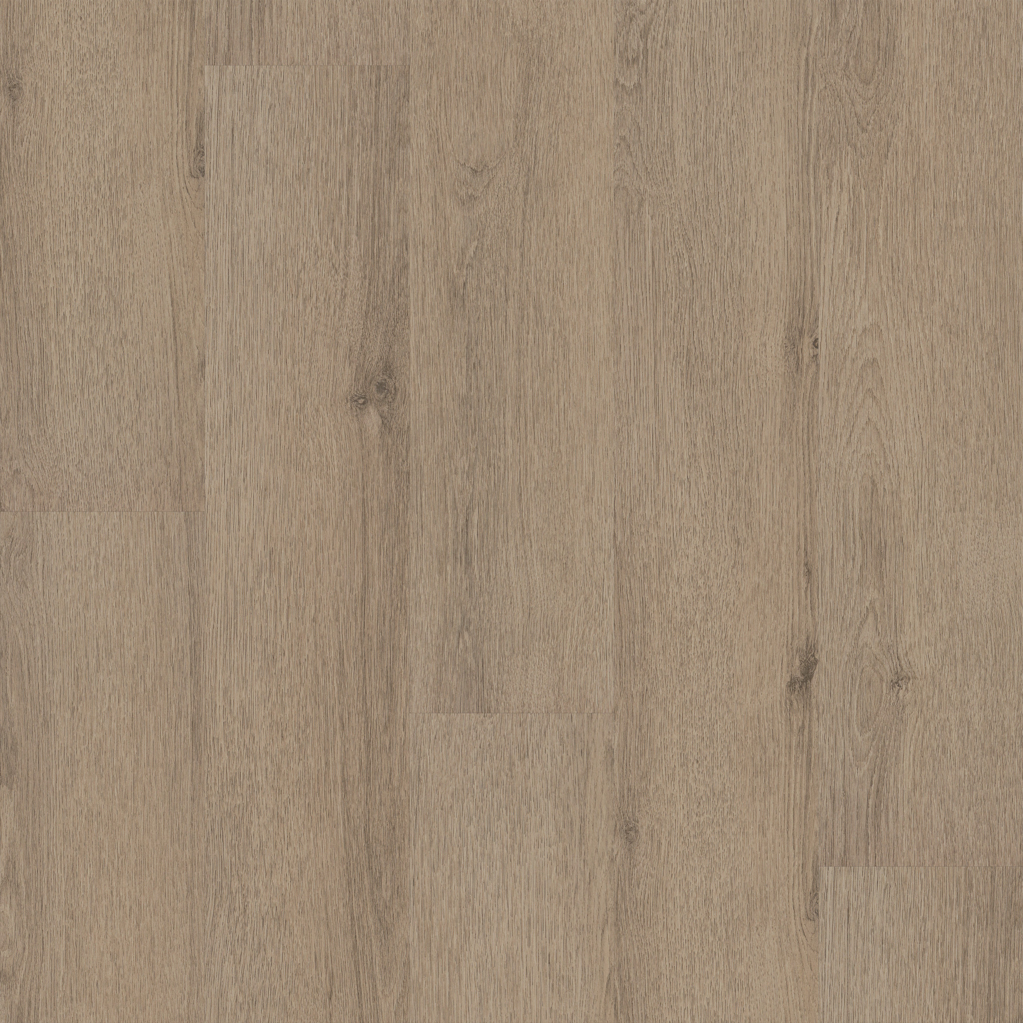 Limitless II 12-Hazelwood-375MF_07312