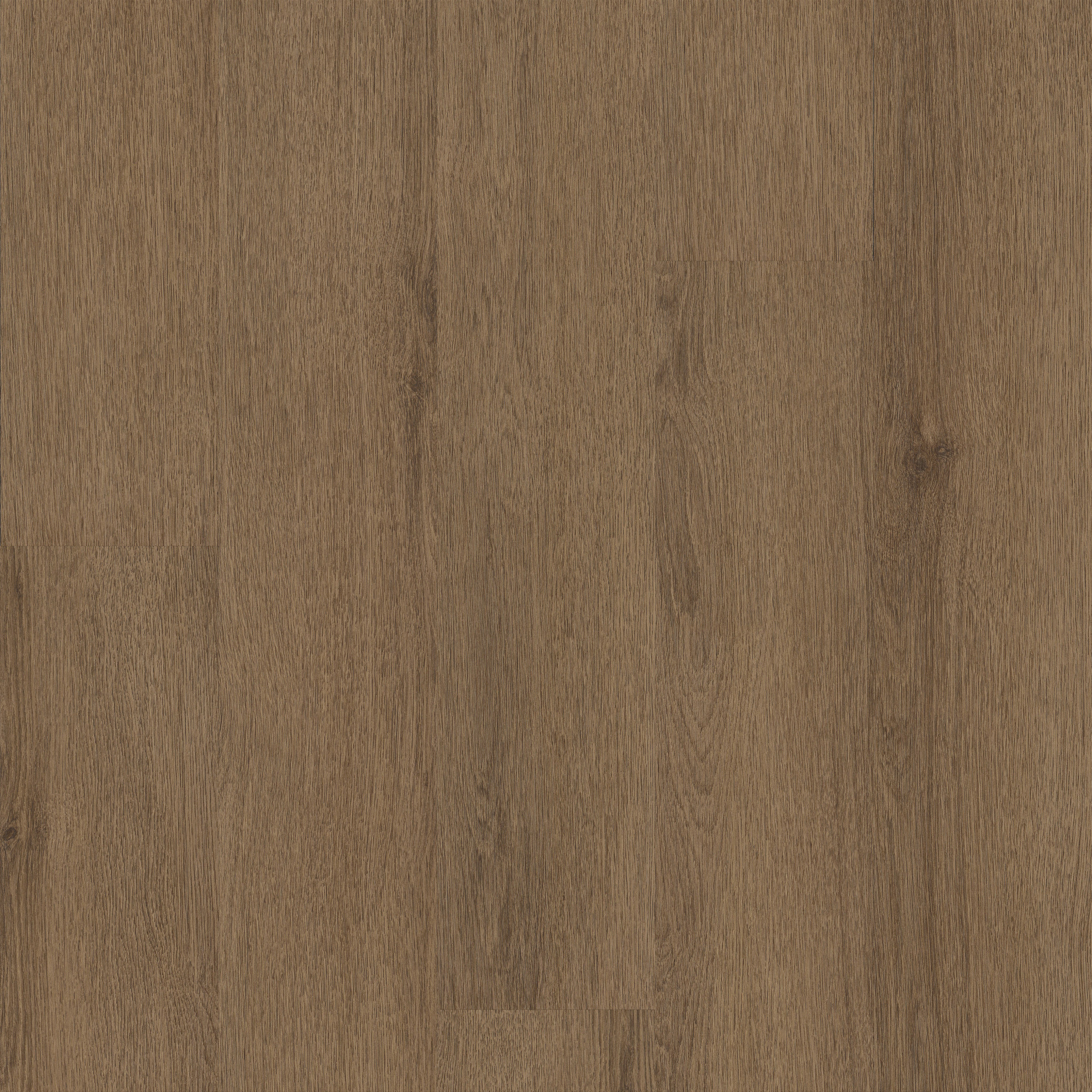 Limitless II 12-Sepia Brown-375MF_07313