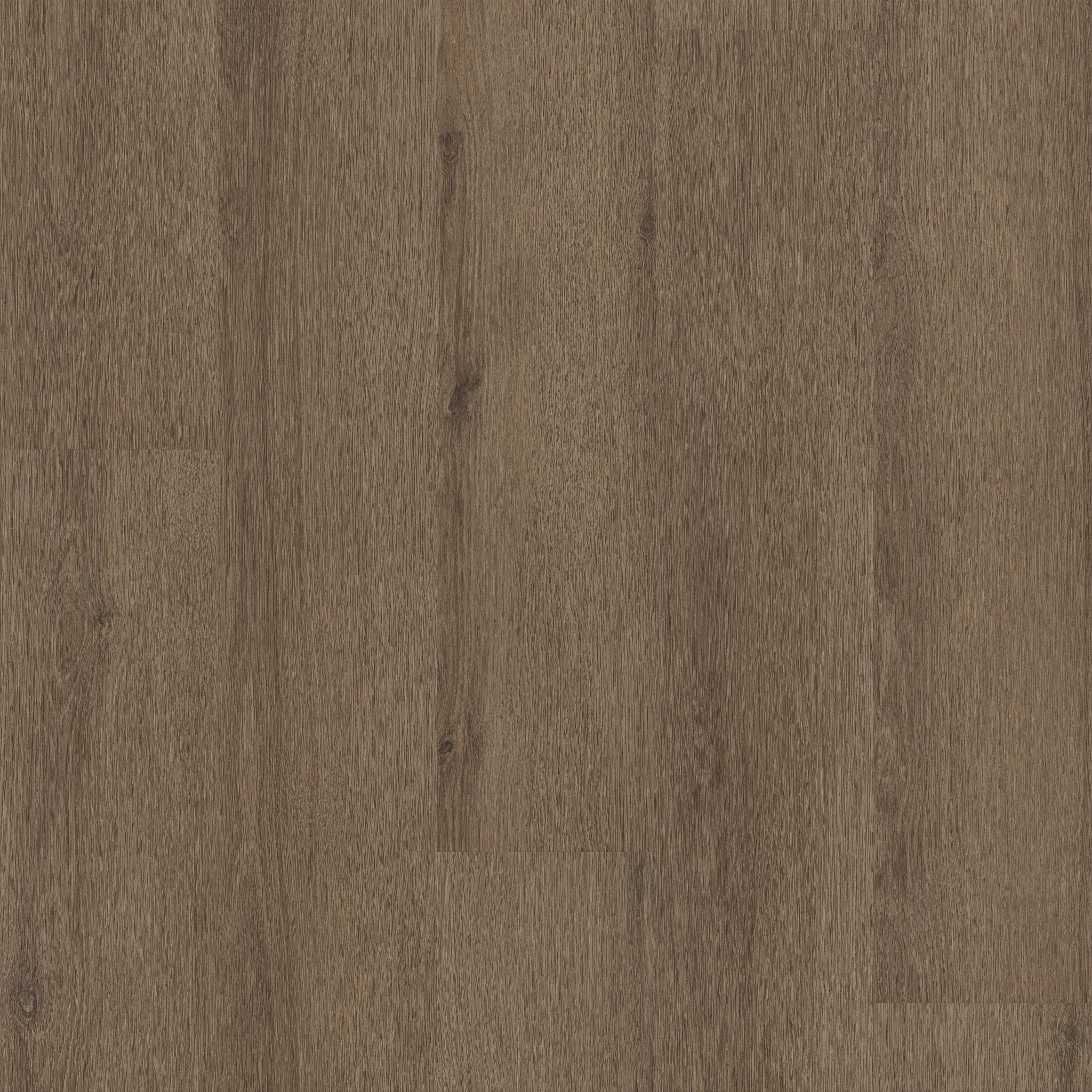 Limitless II 12-Autumn Brown-375MF_07314