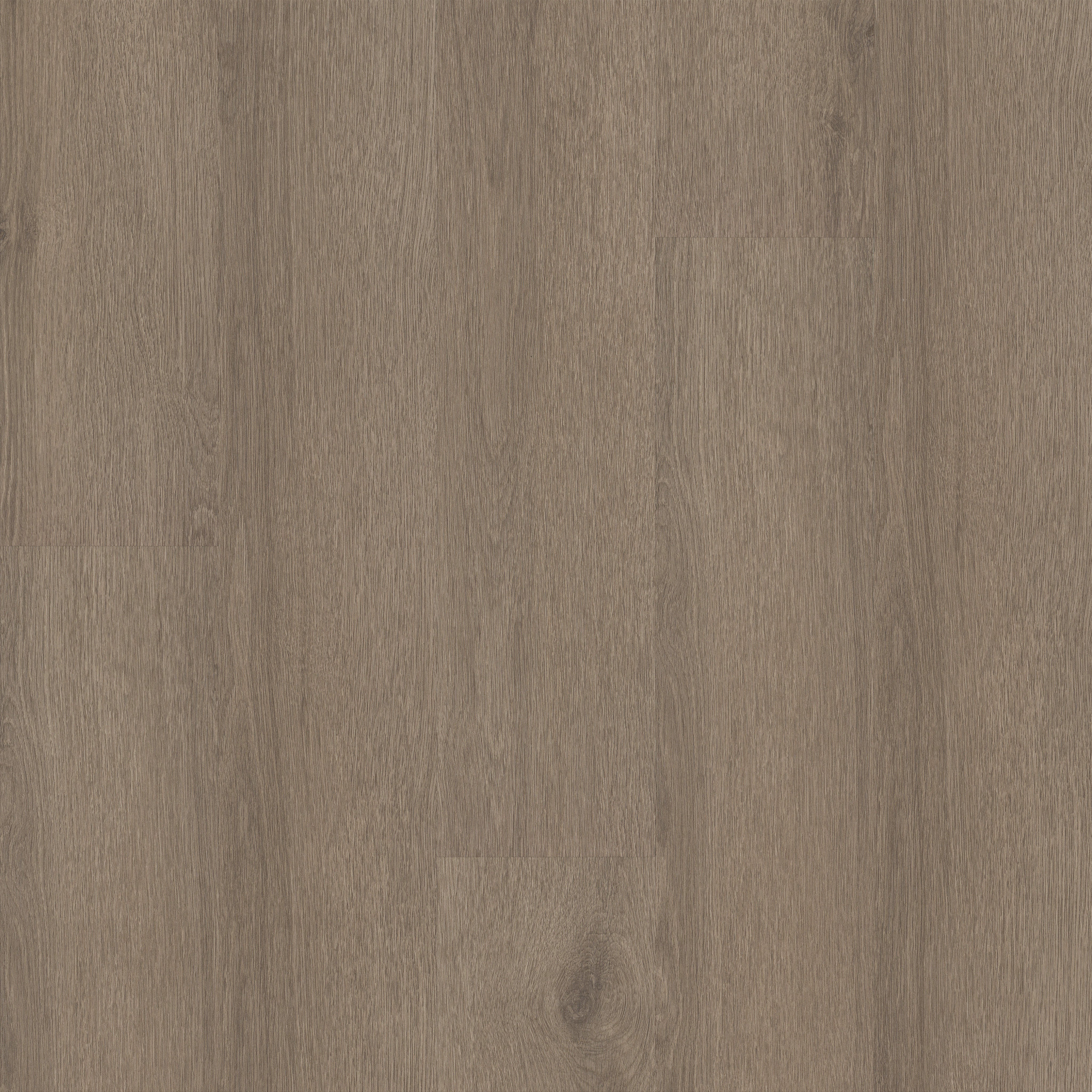 Limitless II 12-Smoky Taupe-375MF_07315