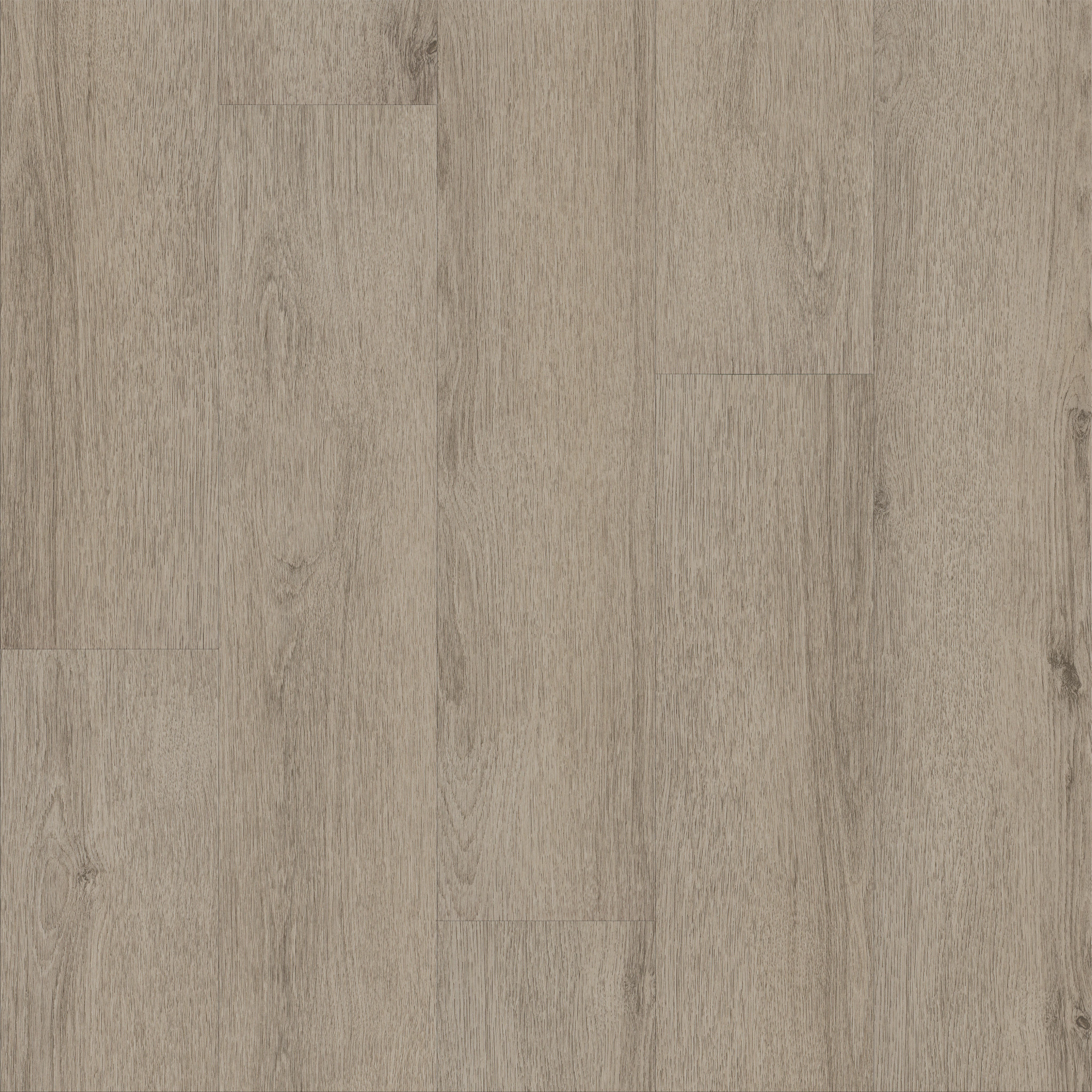 Limitless II 20-Mushroom Grey-376MF_05223