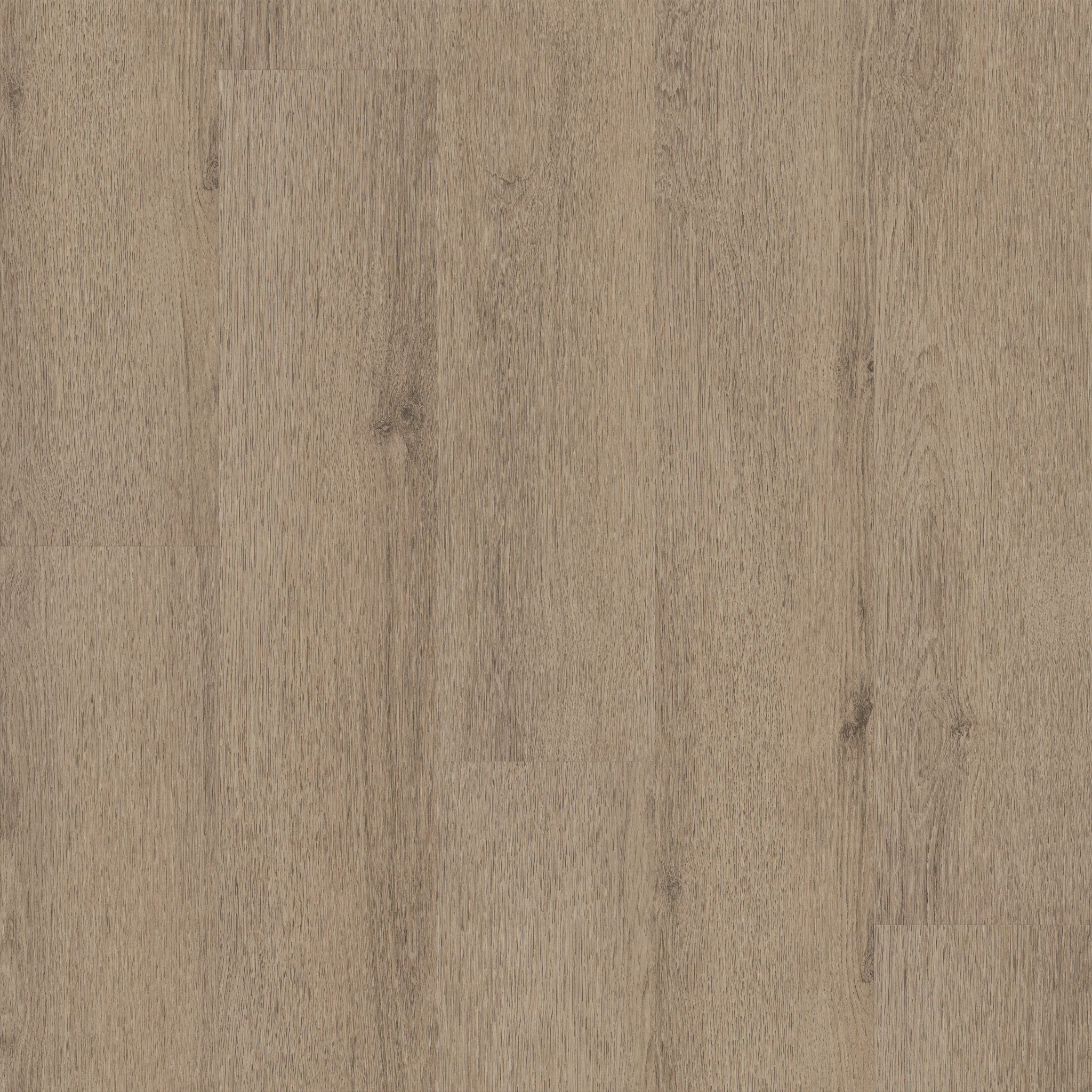 Limitless II 20-Hazelwood-376MF_07312