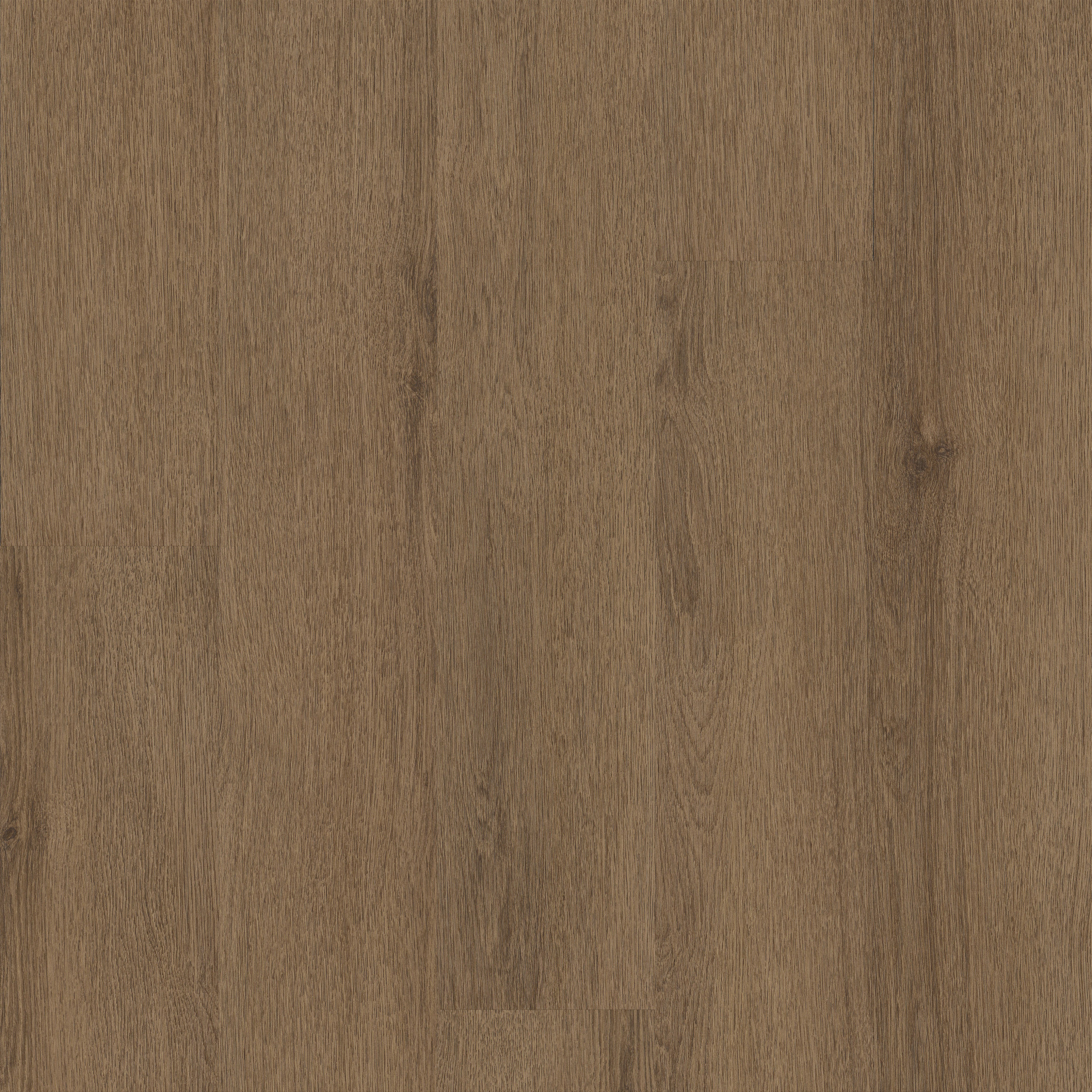 Limitless II 20-Sepia Brown-376MF_07313