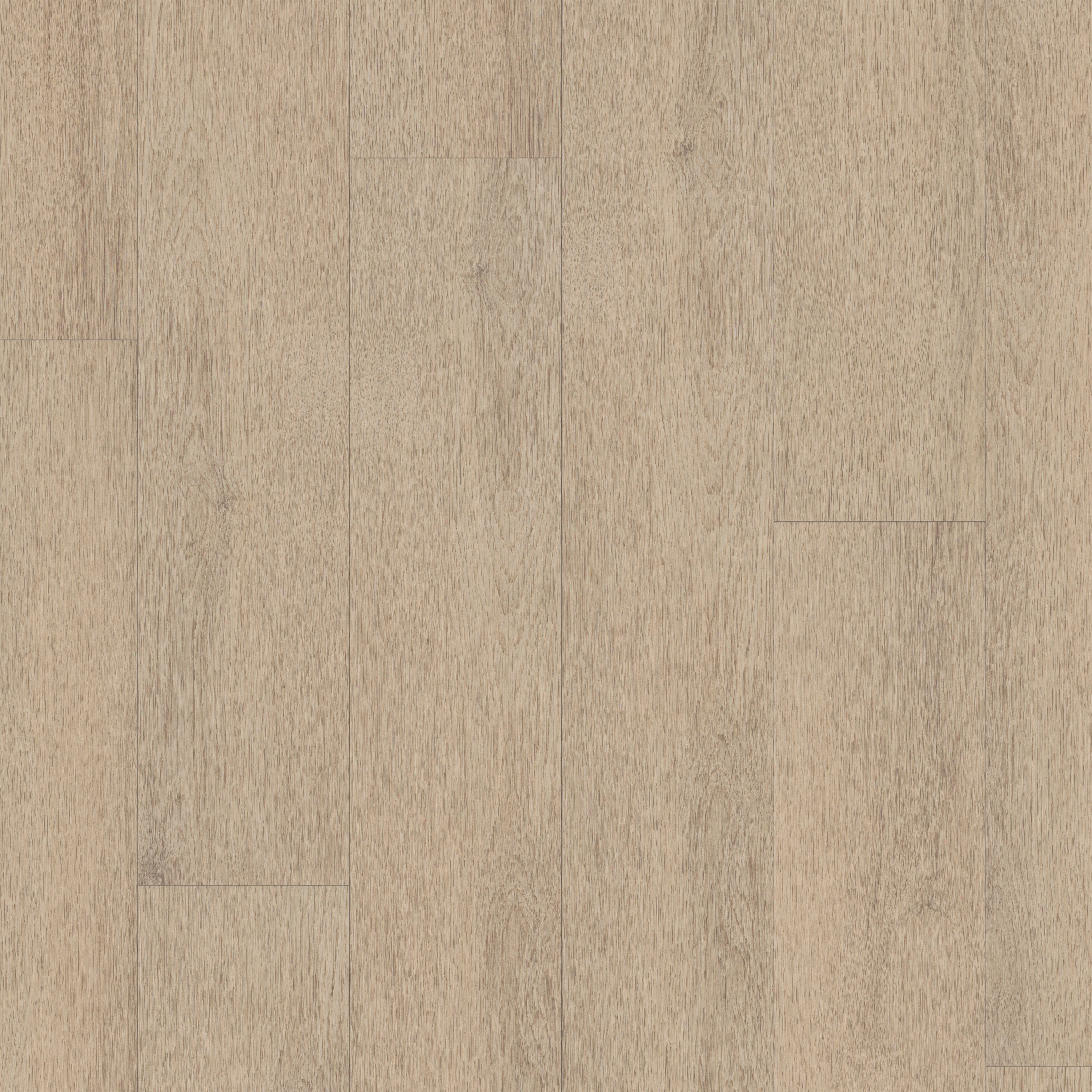 Limitless II Spc-Flaxen-377MF_02097