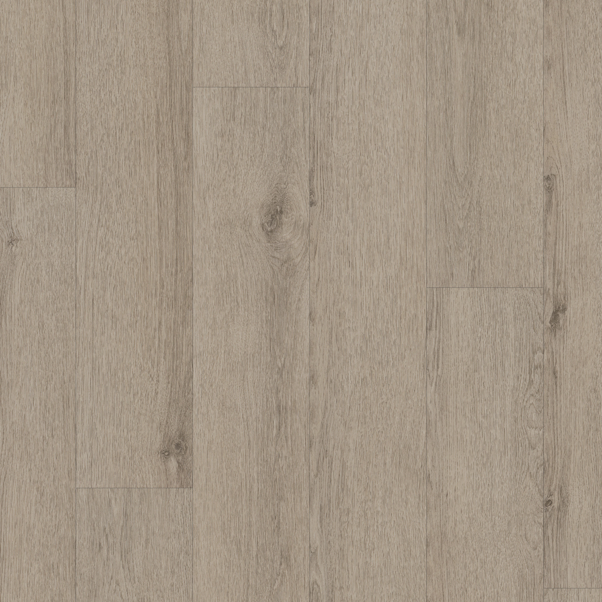 Limitless II Spc-Mushroom Grey-377MF_05223