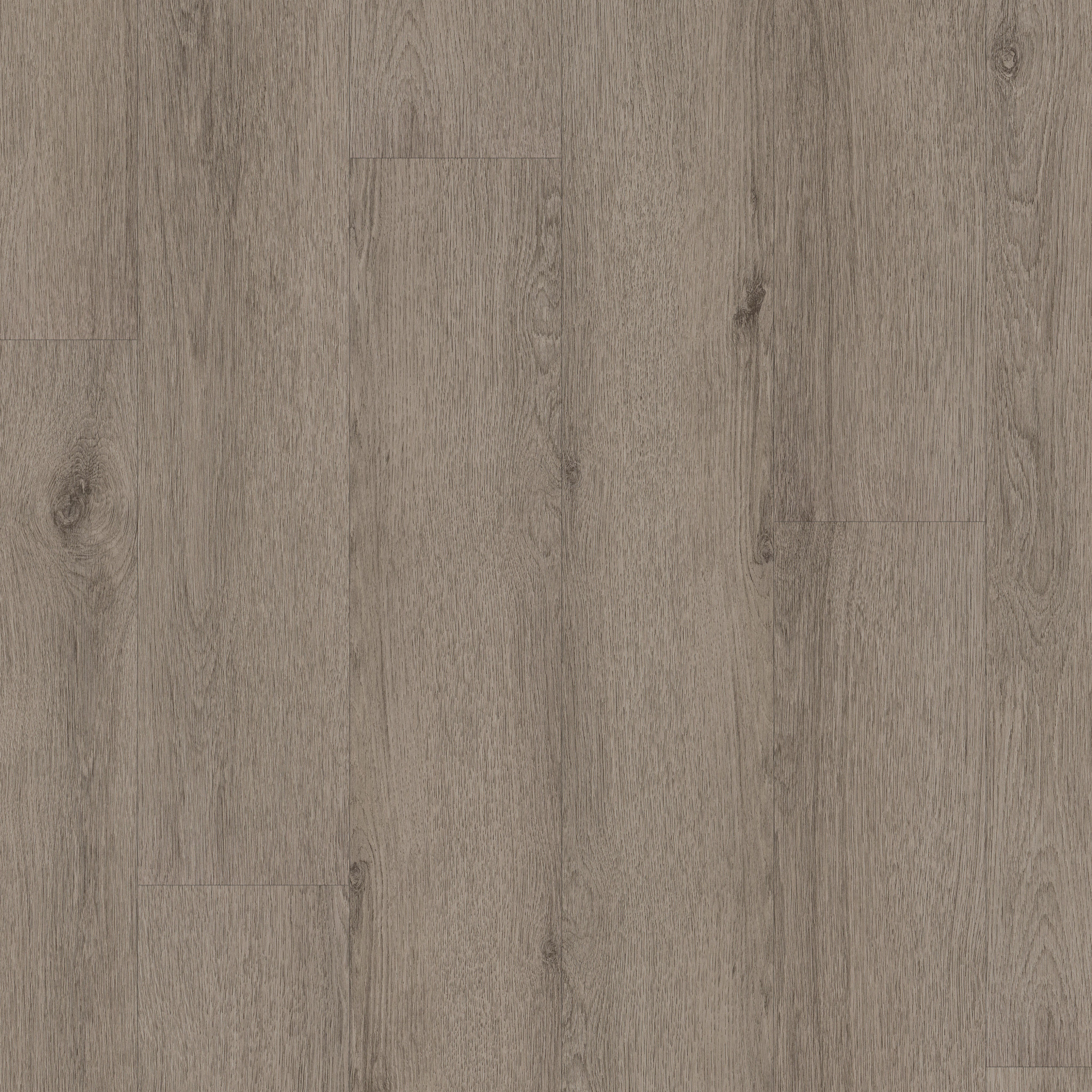 Limitless II Spc-Pebble Grey-377MF_05225