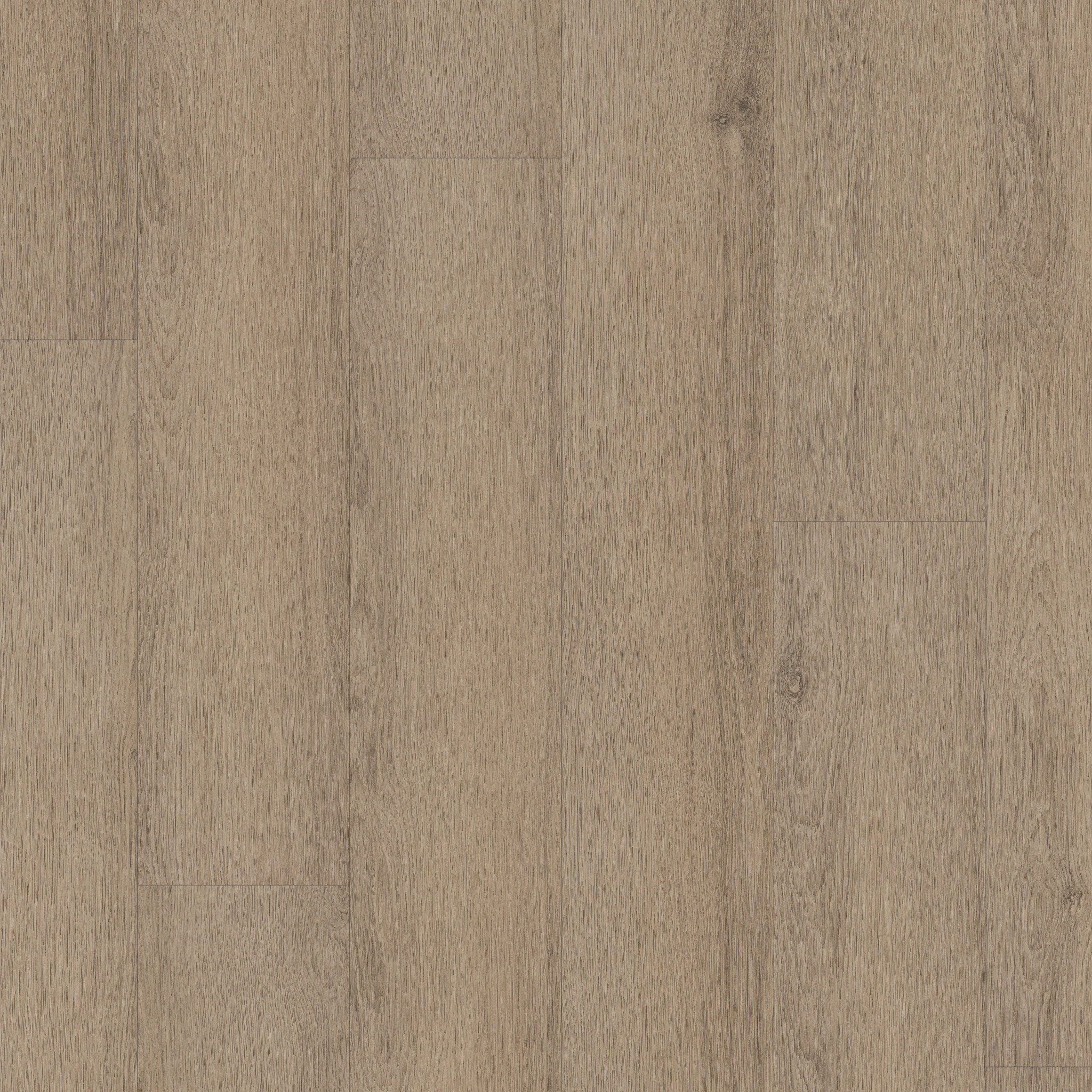 Limitless II Spc-Hazelwood-377MF_07312