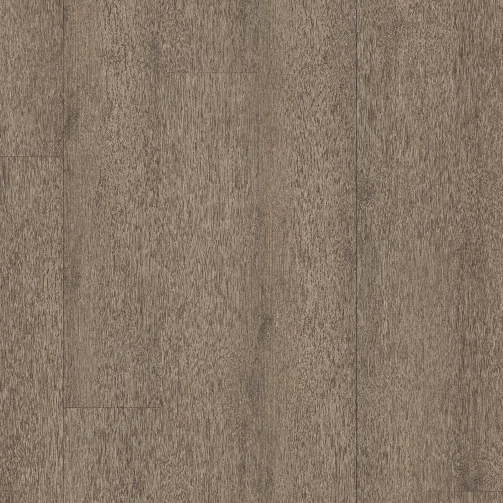 Limitless II Spc-Smoky Taupe-377MF_07315