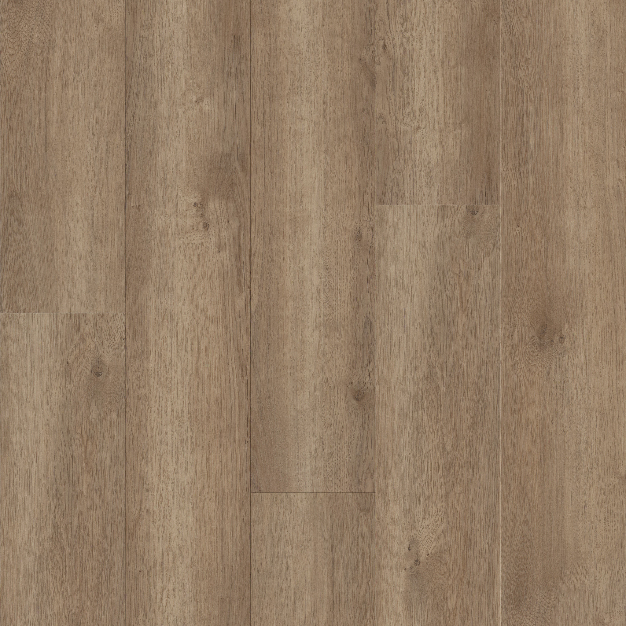 Brentwood Plus-Copano Oak-494CT_01003