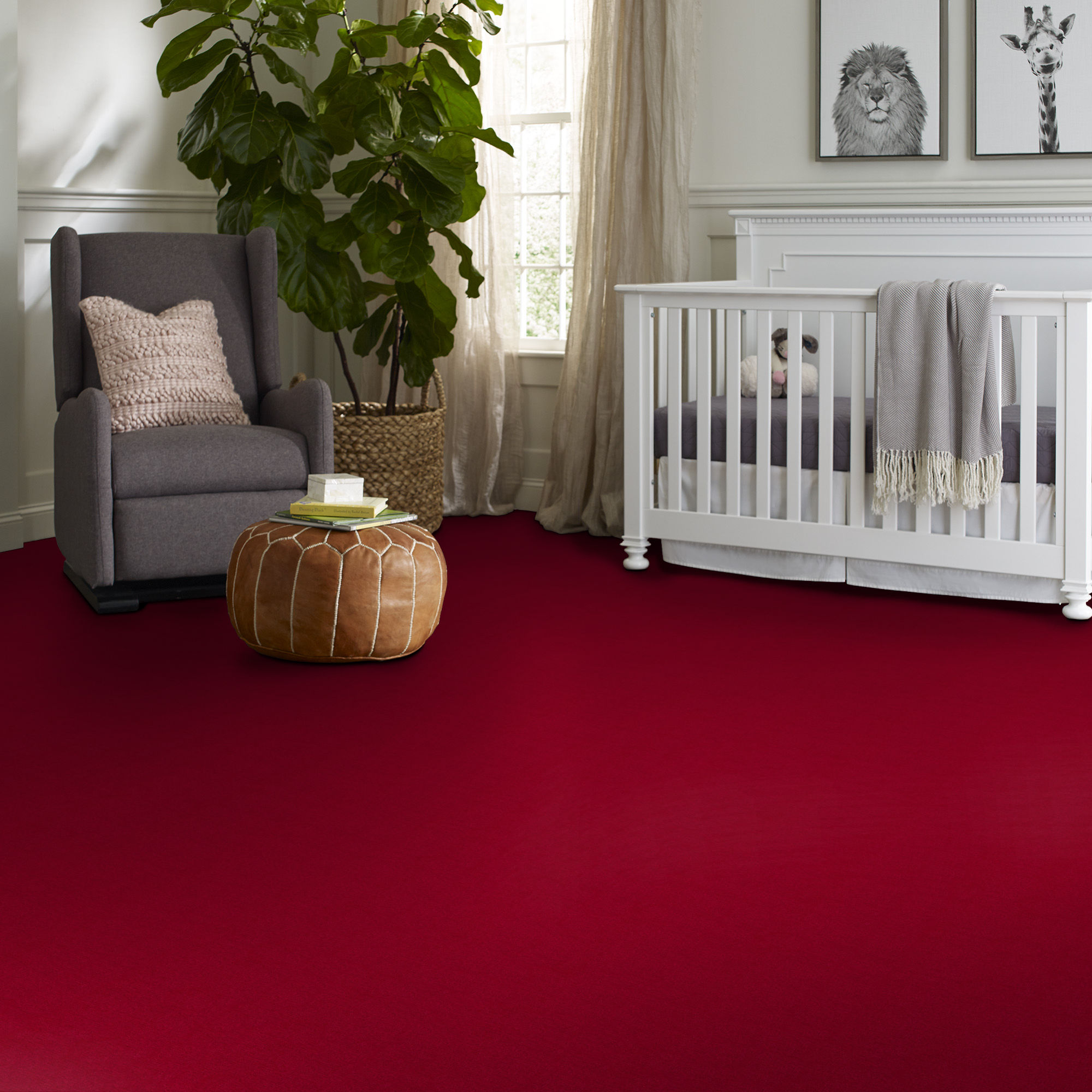 cathedral red | carpets | 50178-79846 ...