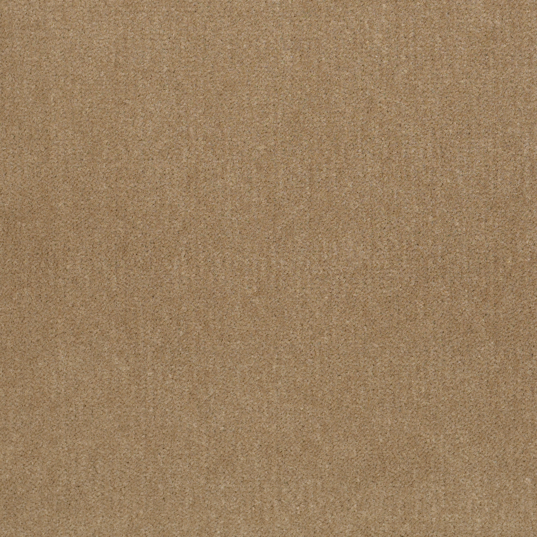 Emphatic 36-Burlap-50179_79157