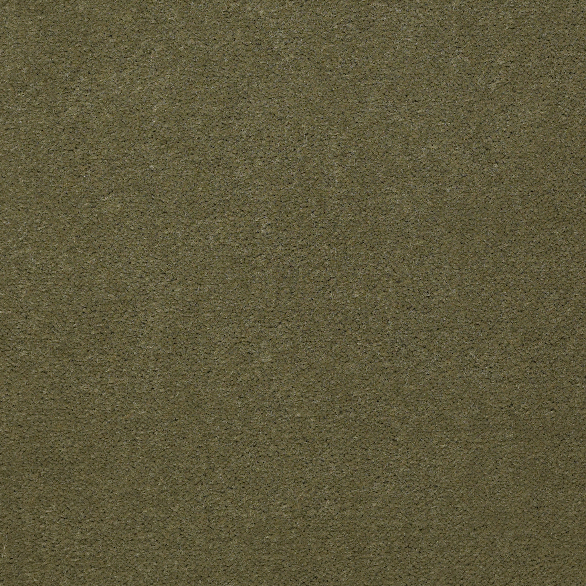 Emphatic 36-Beach Retreat-50179_79323