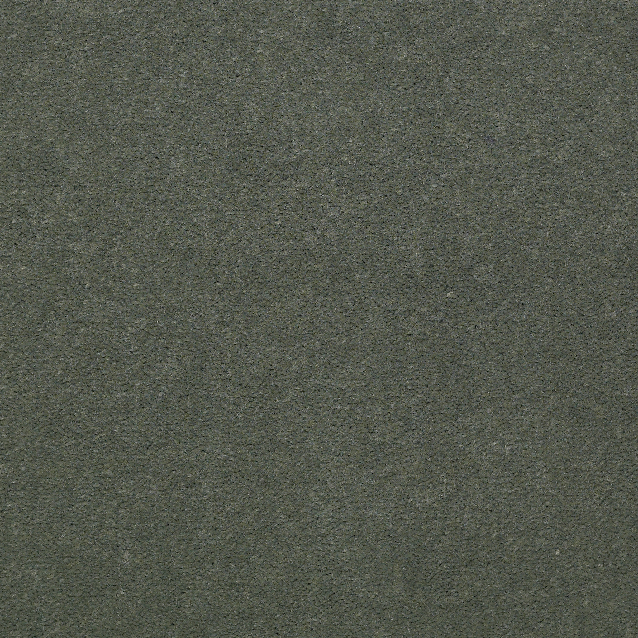 Emphatic 36-Dried Sage-50179_79341