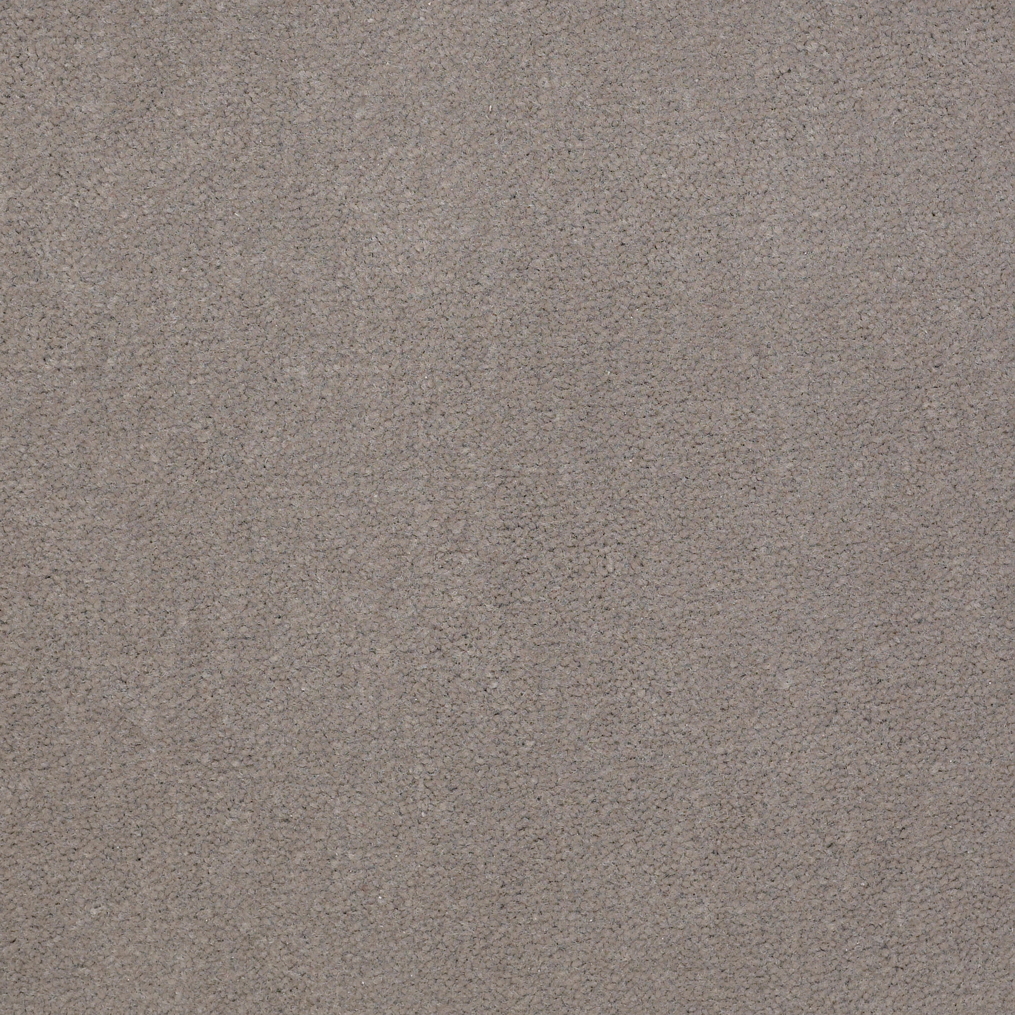 Emphatic 36-Gray Hare-50179_79510