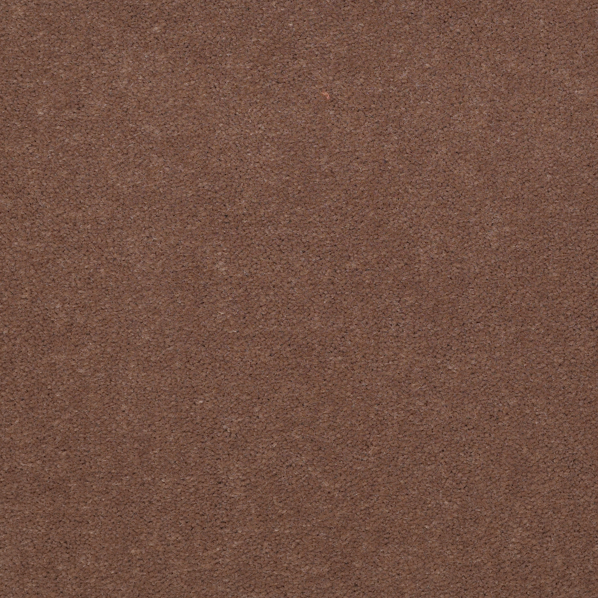 Emphatic 36 - Koala - 50179_79741