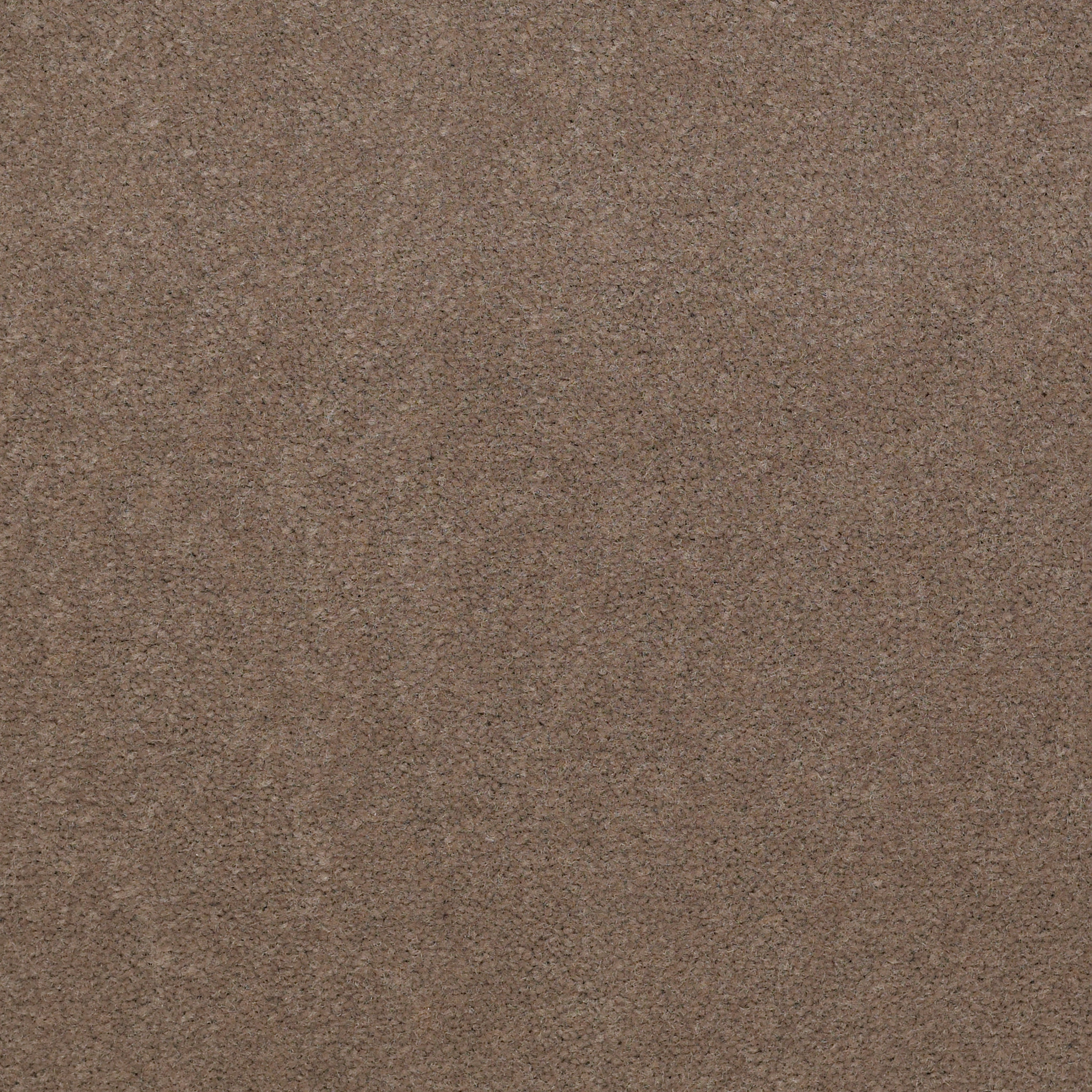 Emphatic 36-Top Taupe-50179_79742