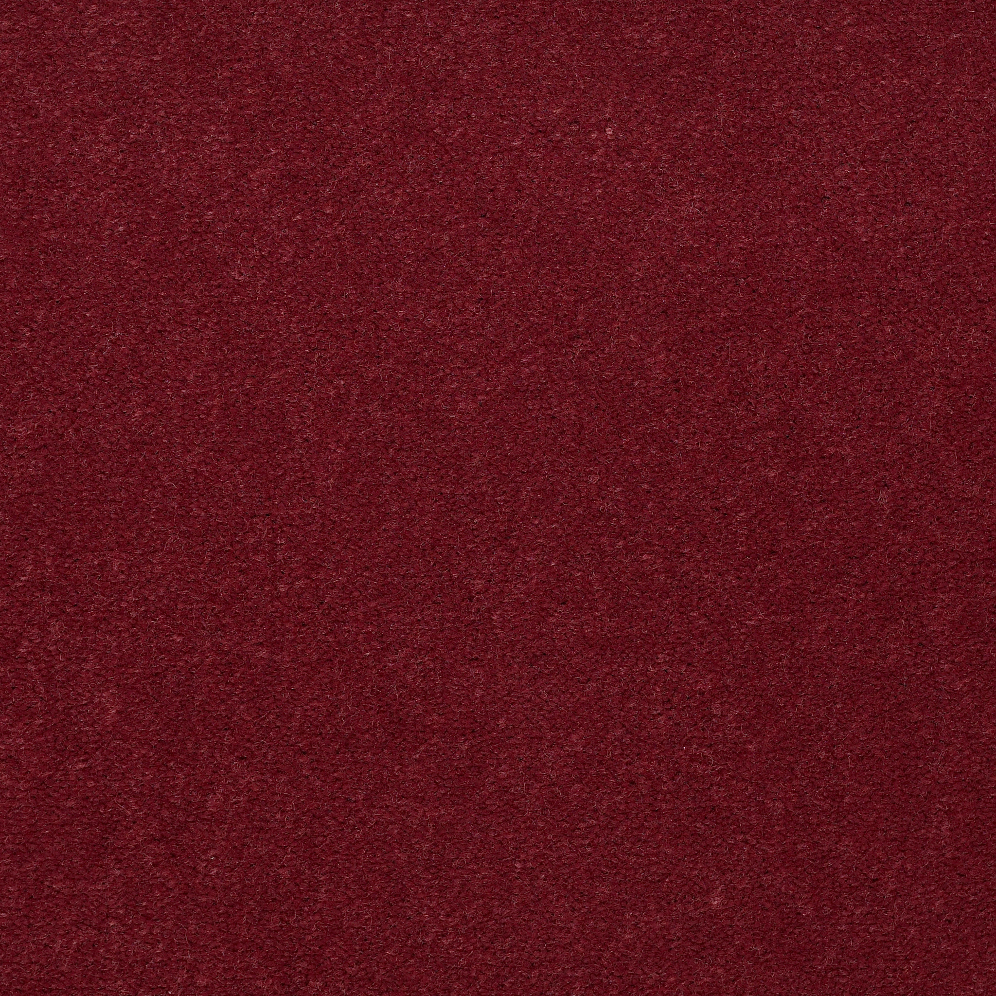 Emphatic 36-Rosebowl-50179_79844