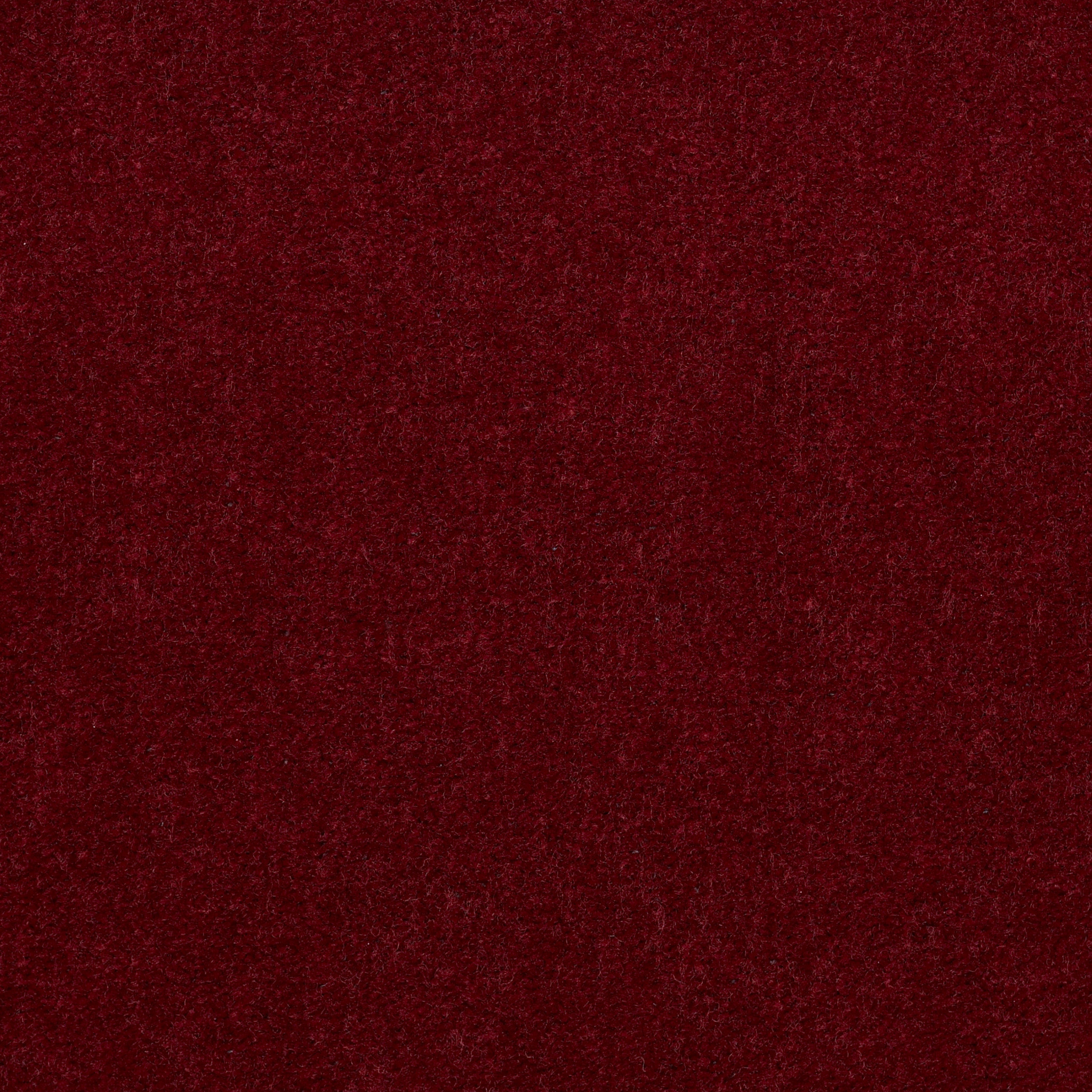 Emphatic 36-Vivid Burgundy-50179_79845