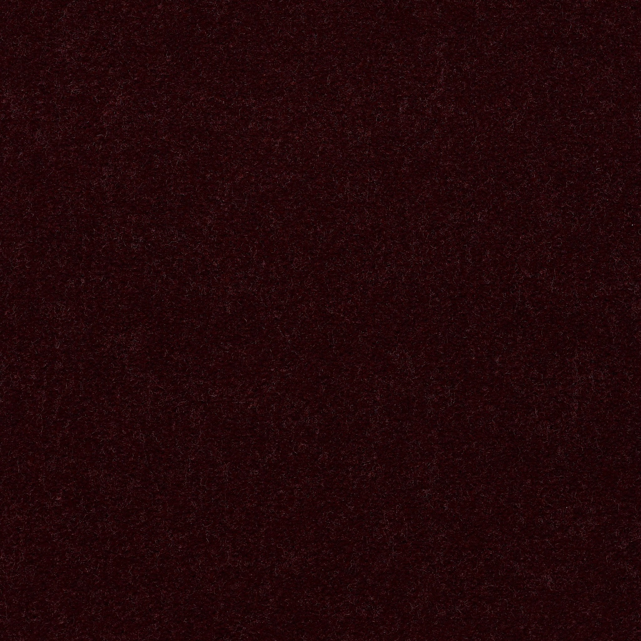 Emphatic 36-Plum Cordial-50179_79847