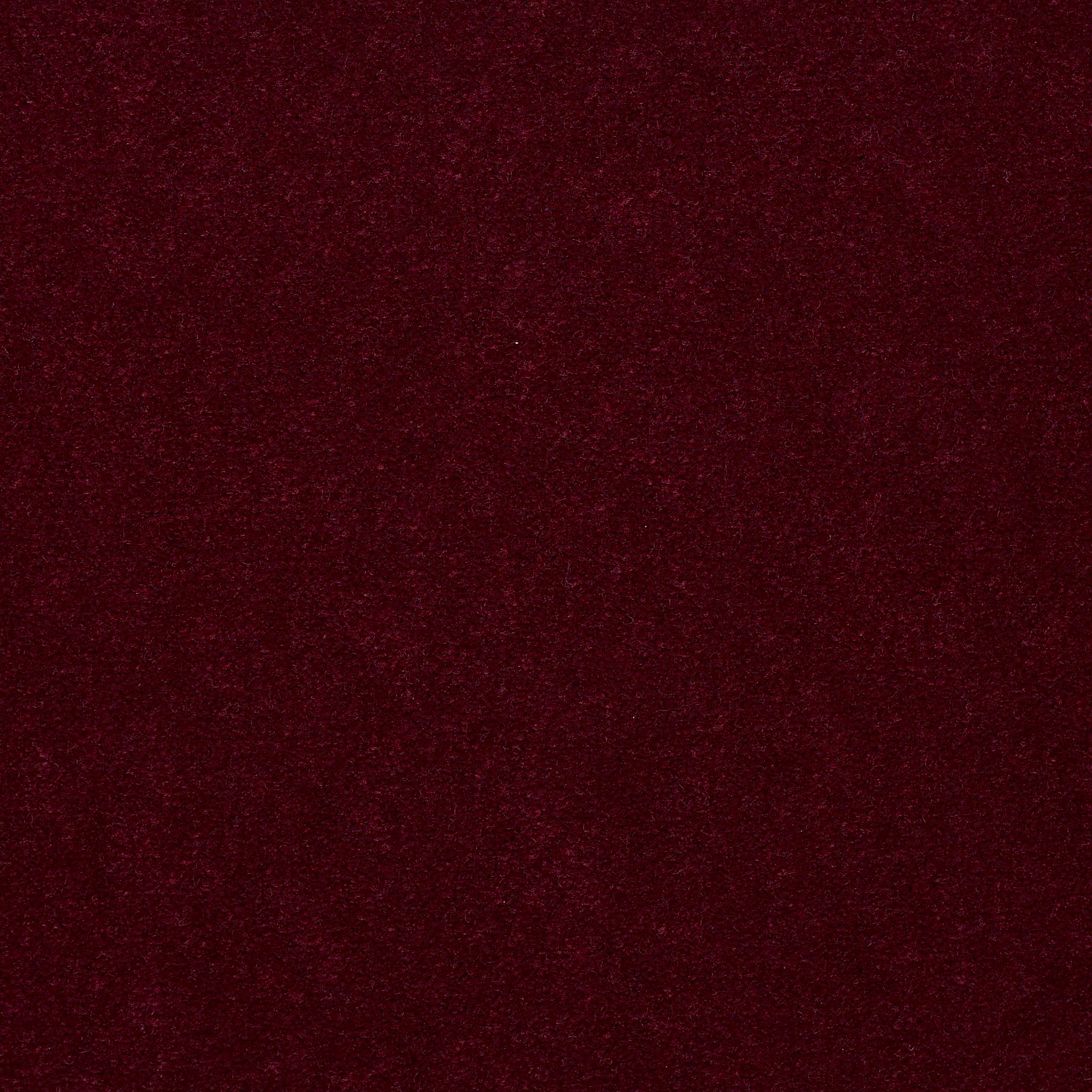 Emphatic 36-Botticelli-50179_79883