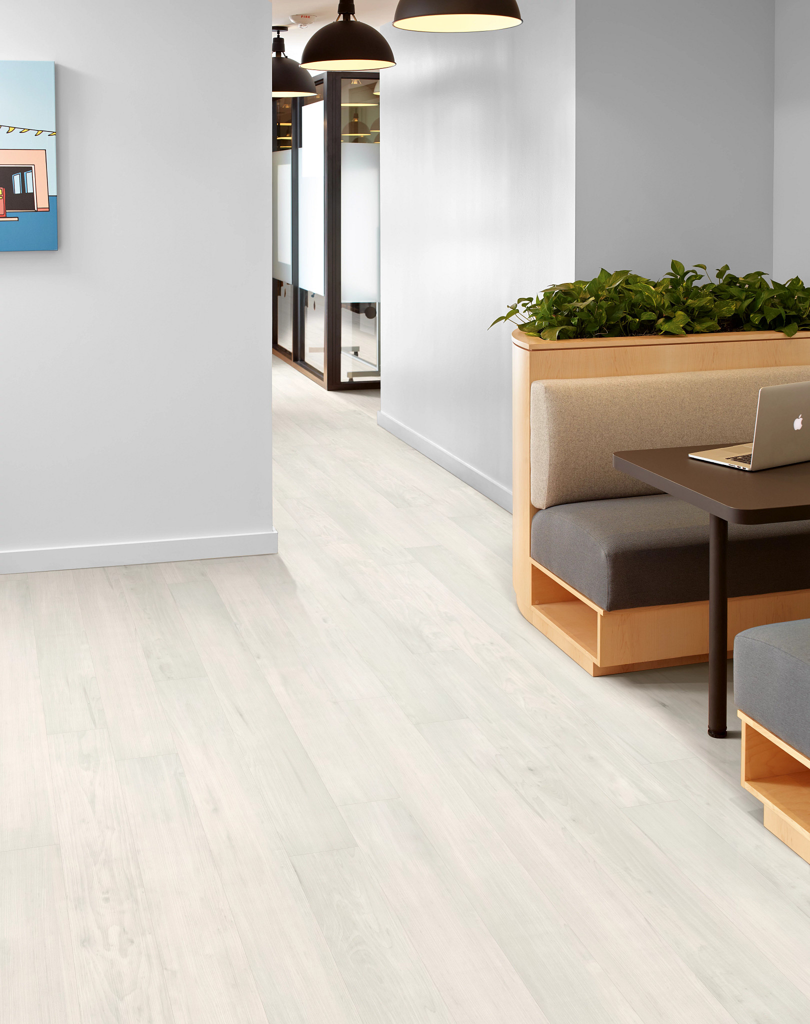 Purview 5.0 - Bone - 5037V_00100