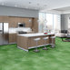 CUMULUS-5043V-SPRINGTIME-00365-room-image