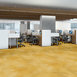 CUMULUS-5043V-SUMMER-GLOW-02088-room-image
