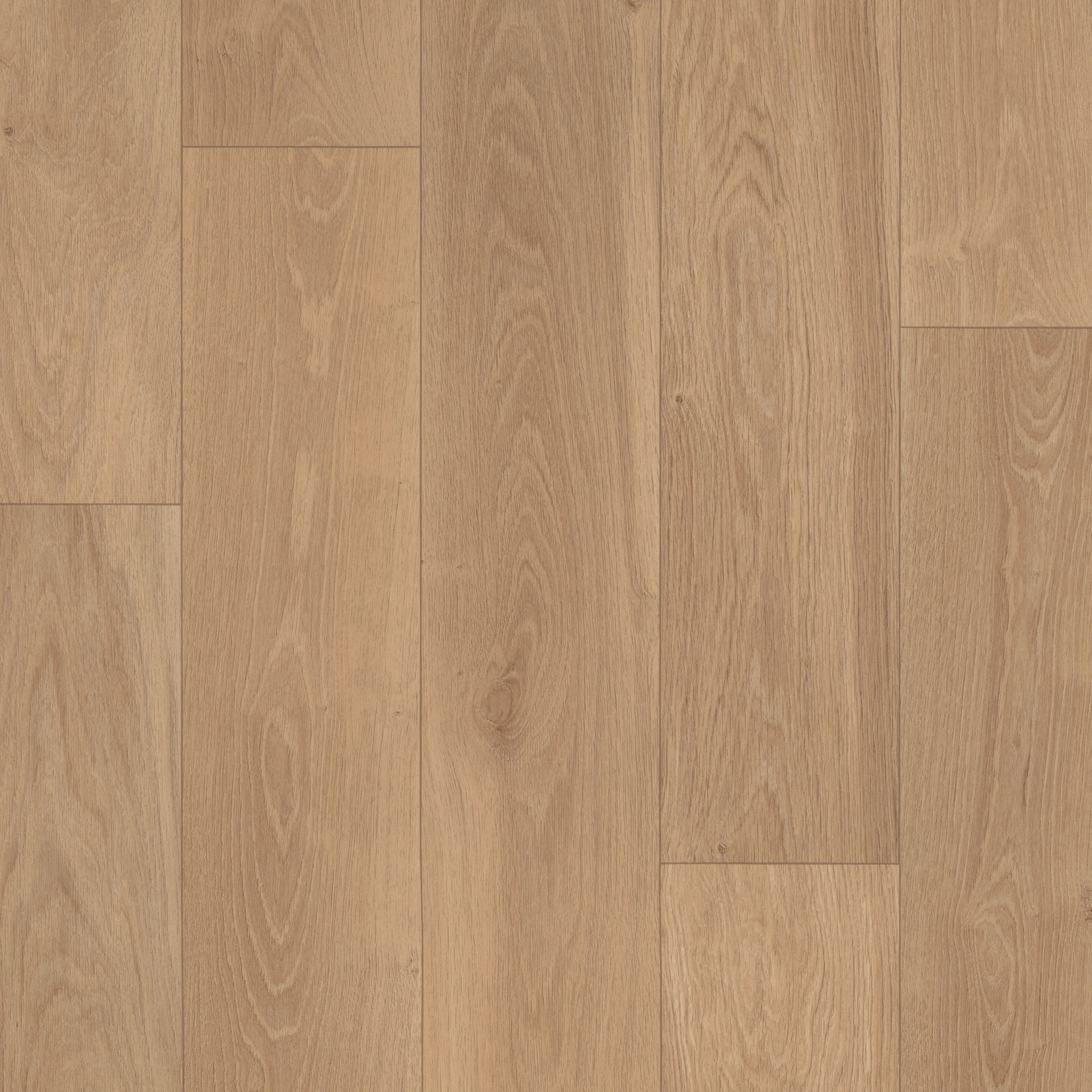 Celestial Vision-Phoenix-526RG_02026