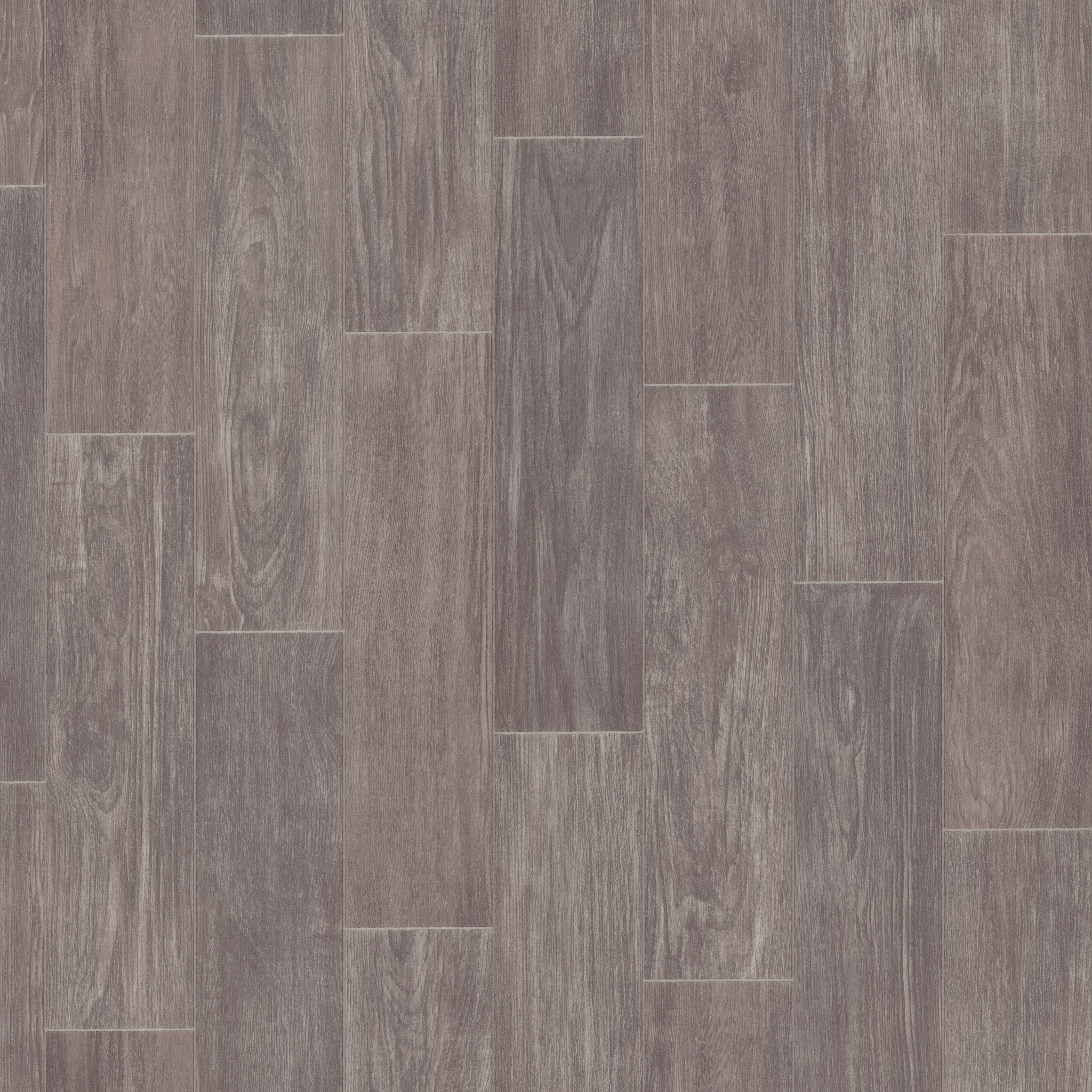 Celestial Vision - Leo - 526RG_05032