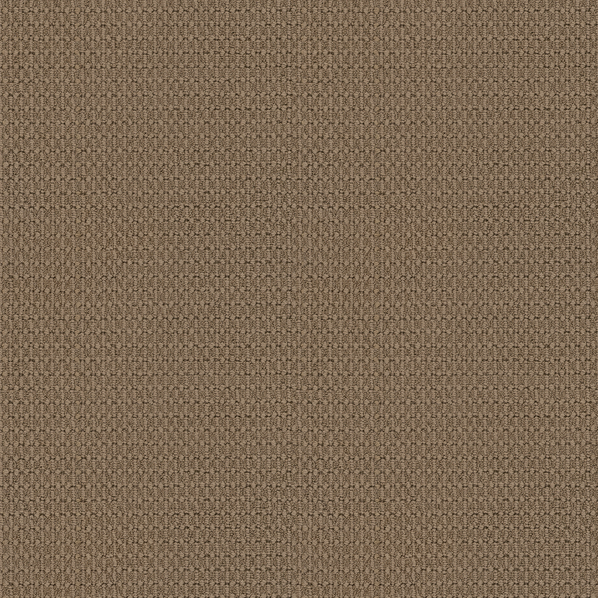 modesta egyptian sand carpets 530MT_00275 Shaw Builder Flooring