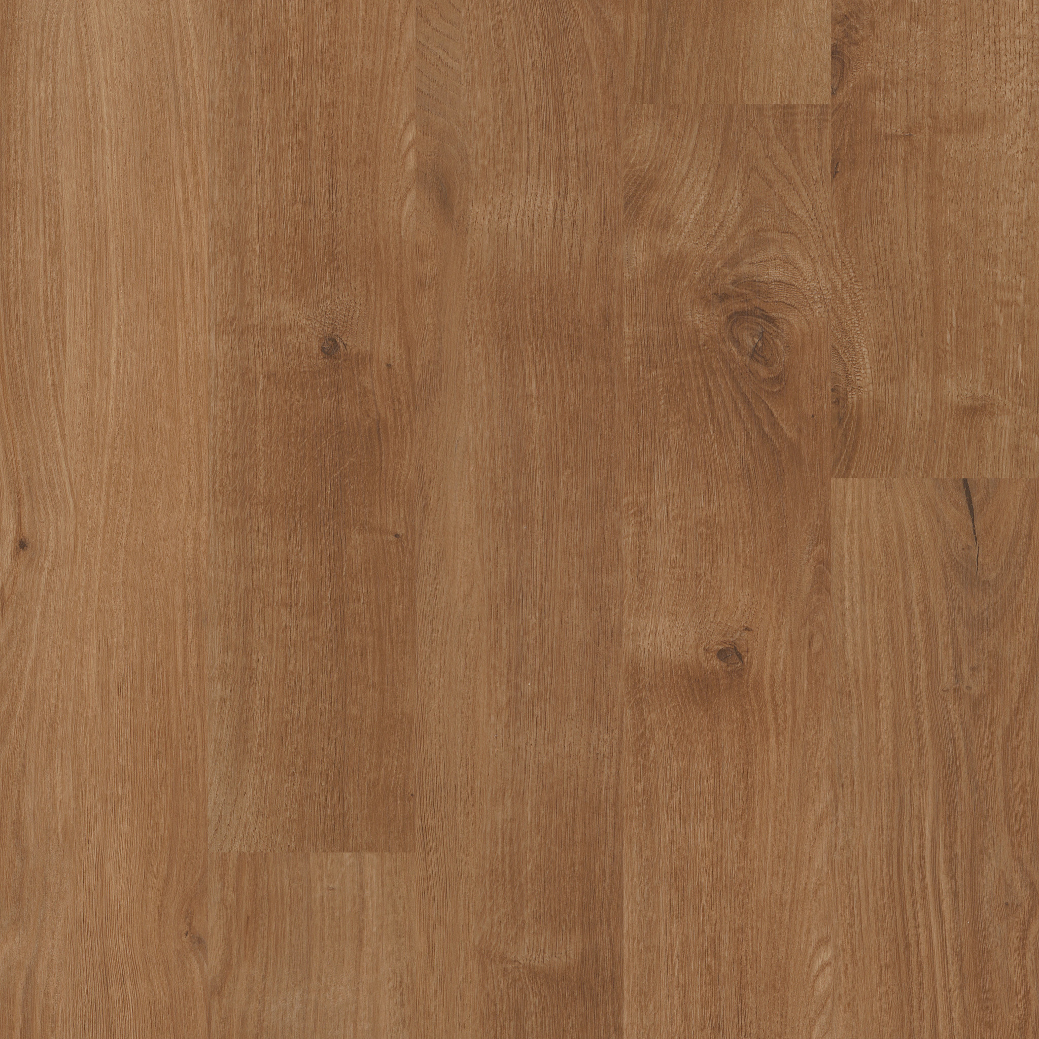 Bosk Pro-Ancient Umber-5402V_00230