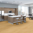 BOSK-PRO-6-5413V-MAPLE-SELECT-00200-room-image