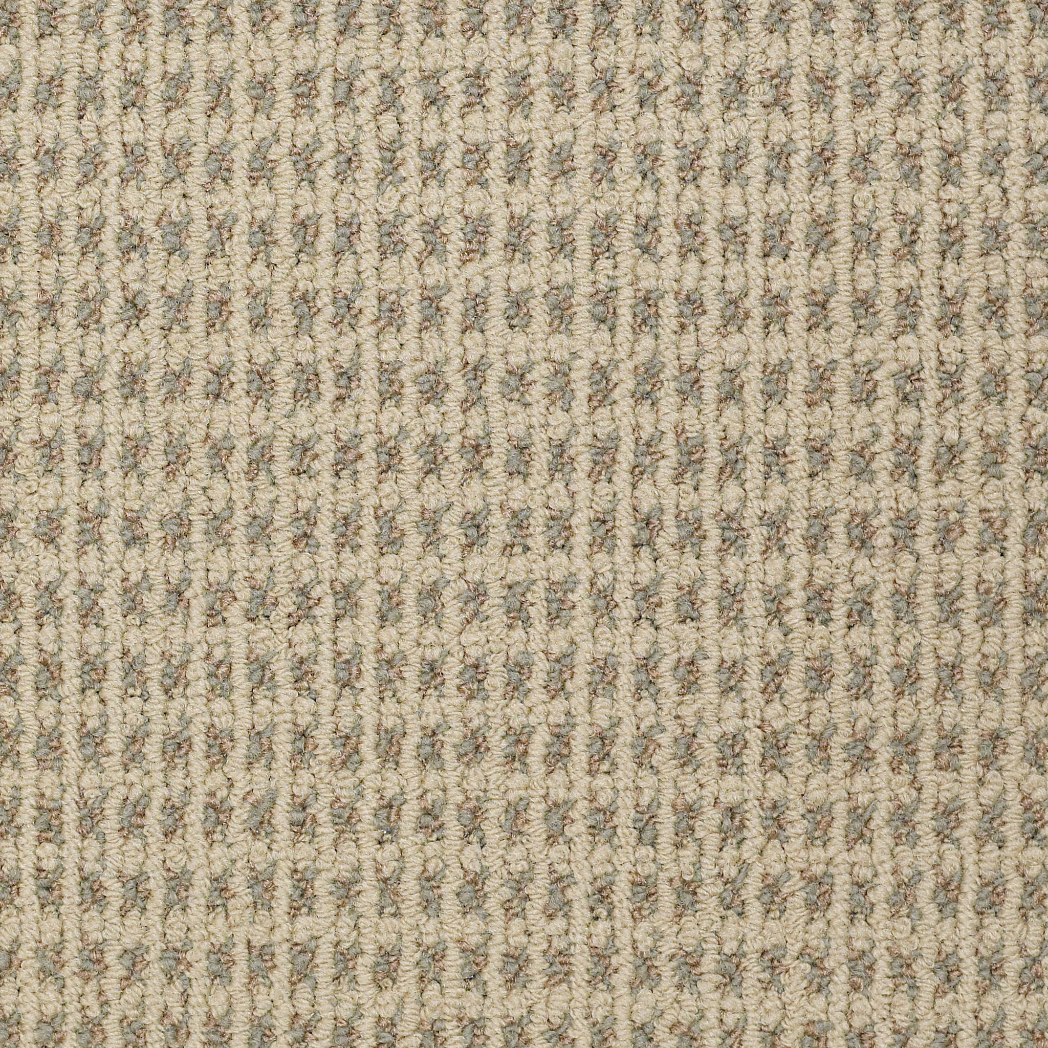 Modern Traditions - Curry - 54207_07100