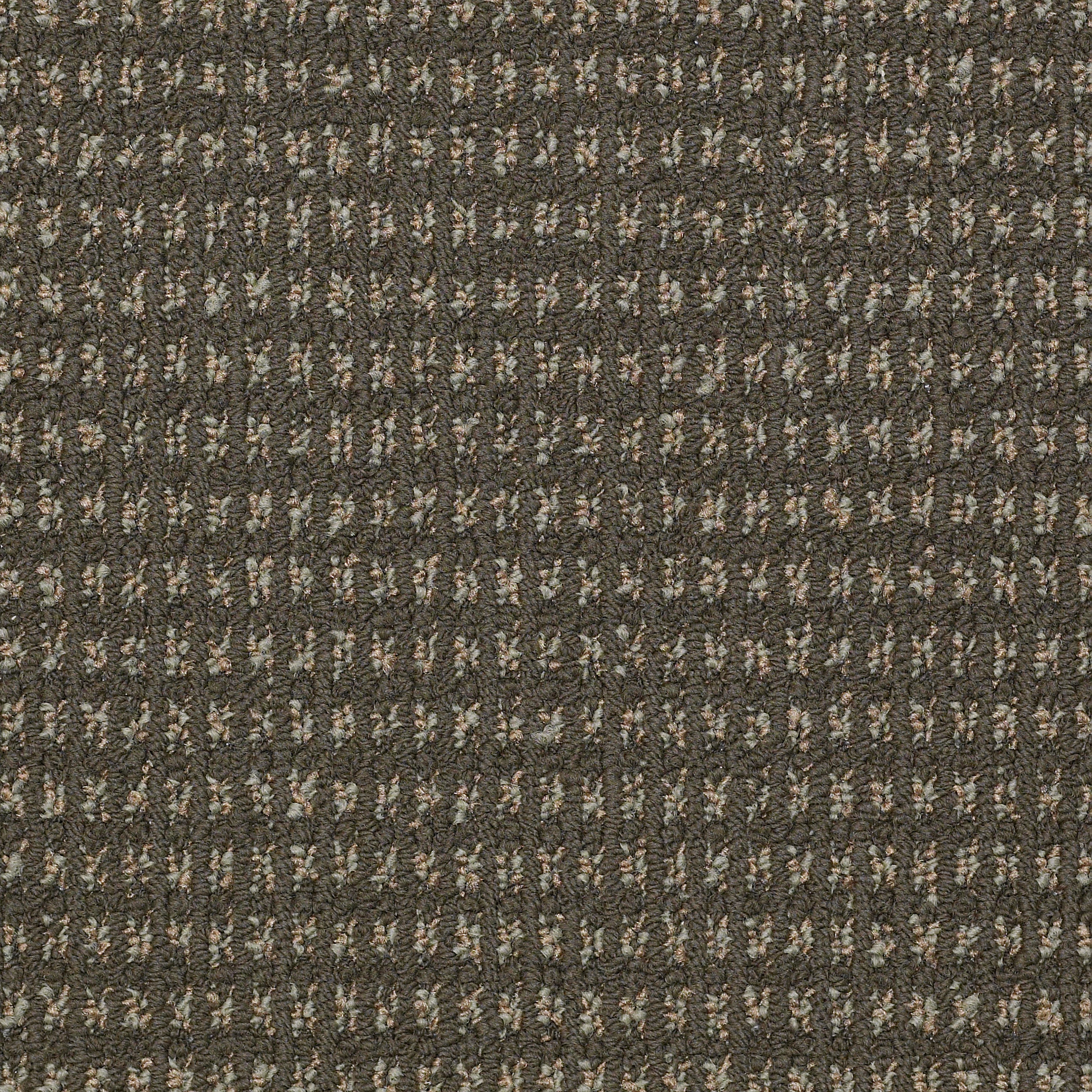 Modern Traditions-Marsh-54207_07302