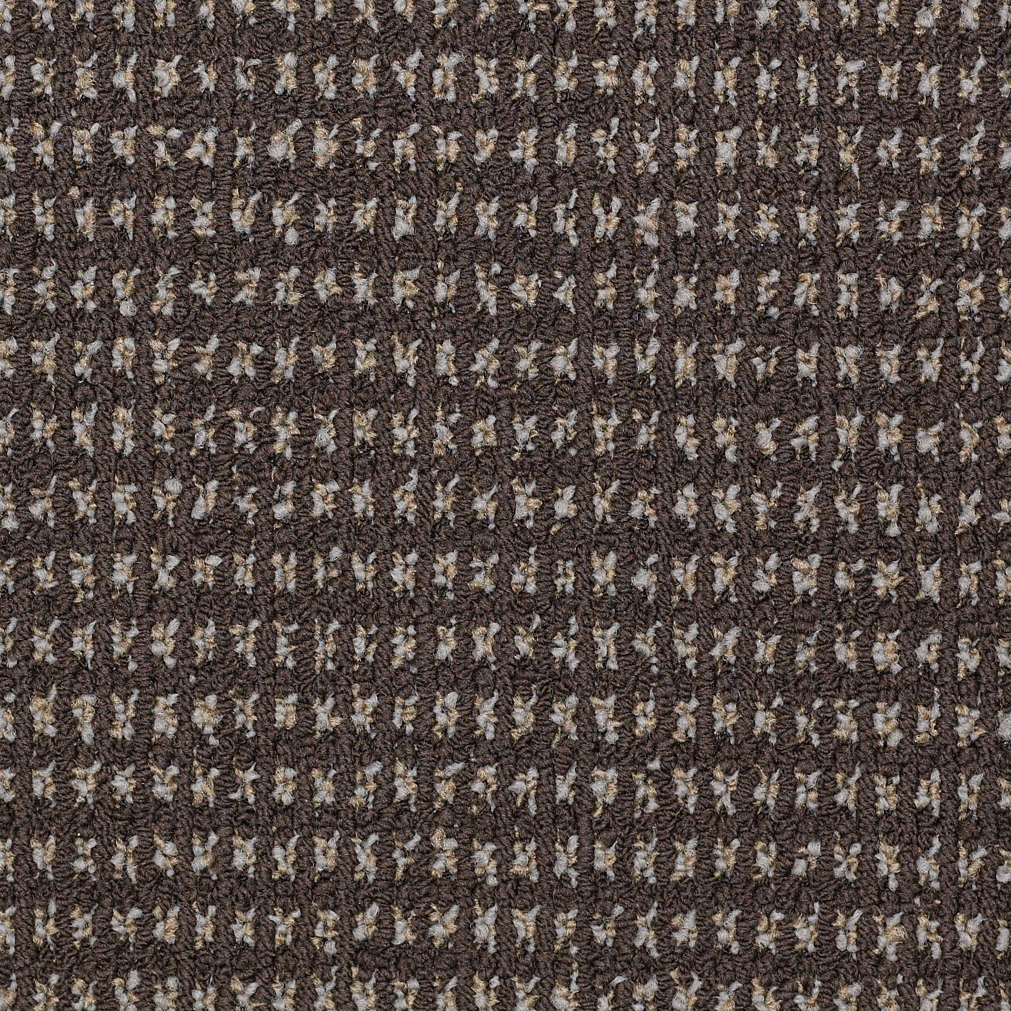 Modern Traditions-Bark-54207_07700