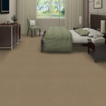 EMPHATIC-II-30-54255-TIMELESS-56110-room-image